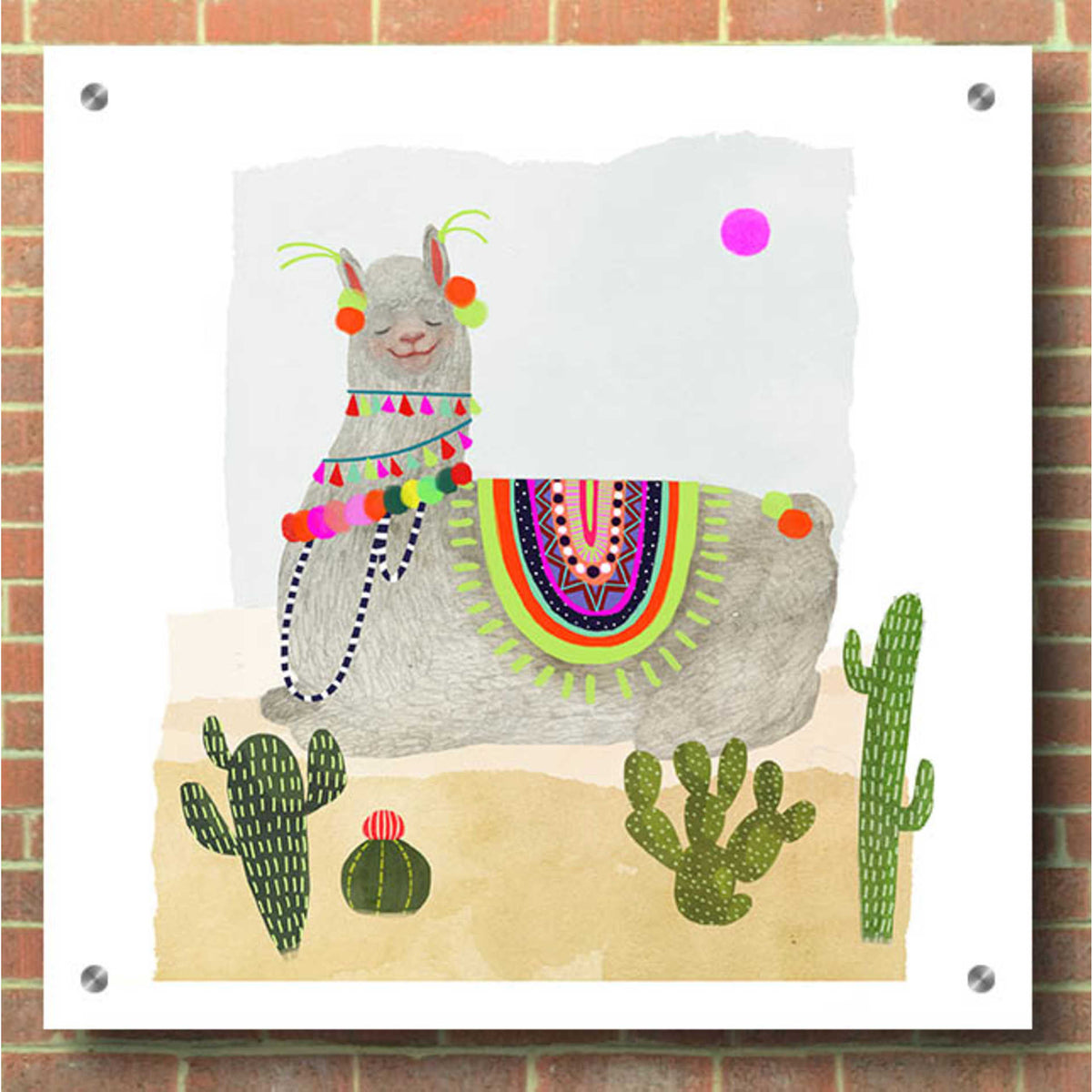 Epic Art 'Llamarama IV' by Victoria Borges, Acrylic Glass Wall Art,36x36