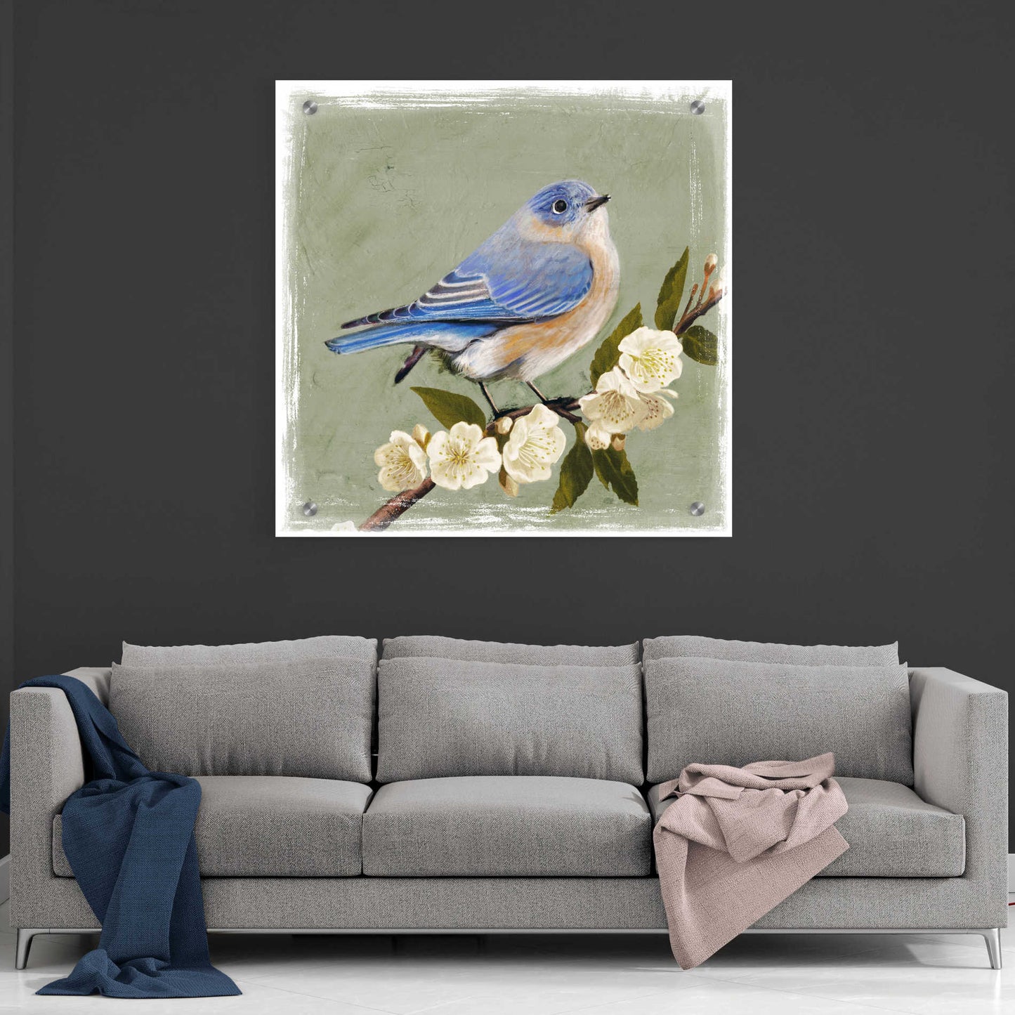 Epic Art 'Bluebird Branch I' by Victoria Borges, Acrylic Glass Wall Art,36x36