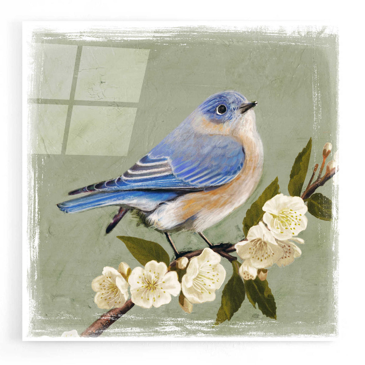 Epic Art 'Bluebird Branch I' by Victoria Borges, Acrylic Glass Wall Art