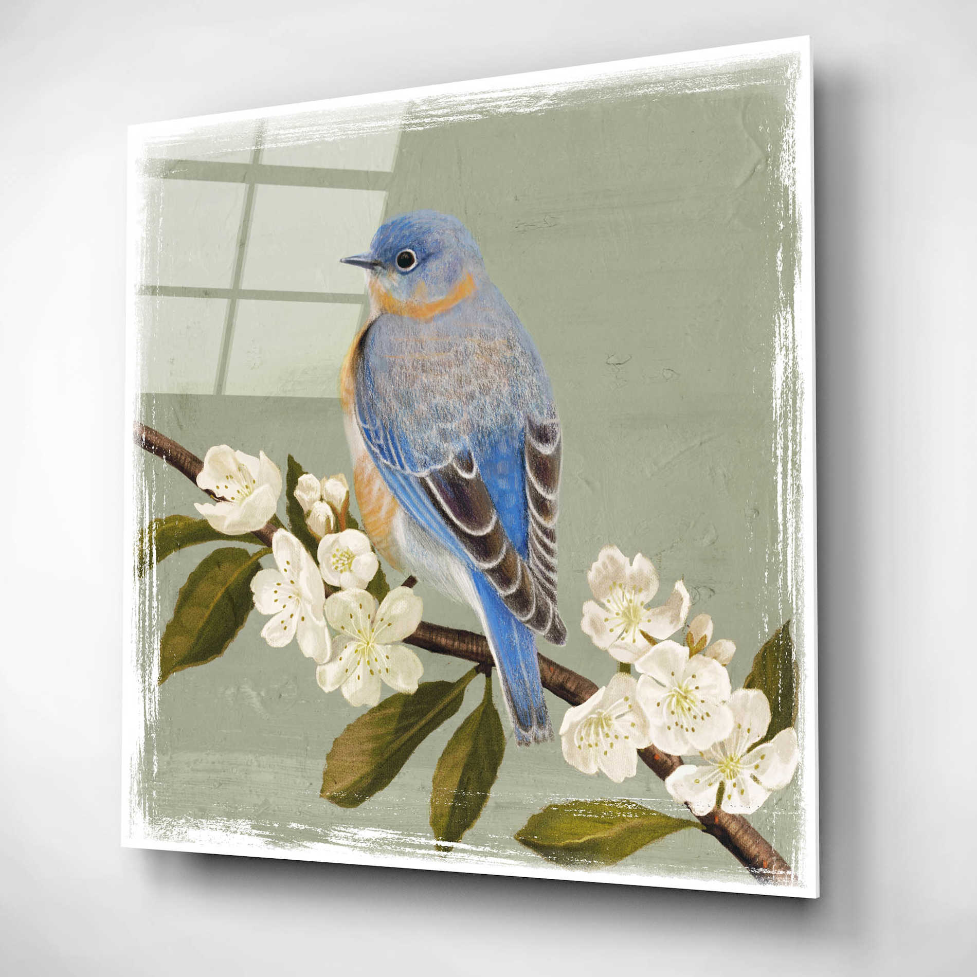 Epic Art 'Bluebird Branch II' by Victoria Borges, Acrylic Glass Wall Art,12x12