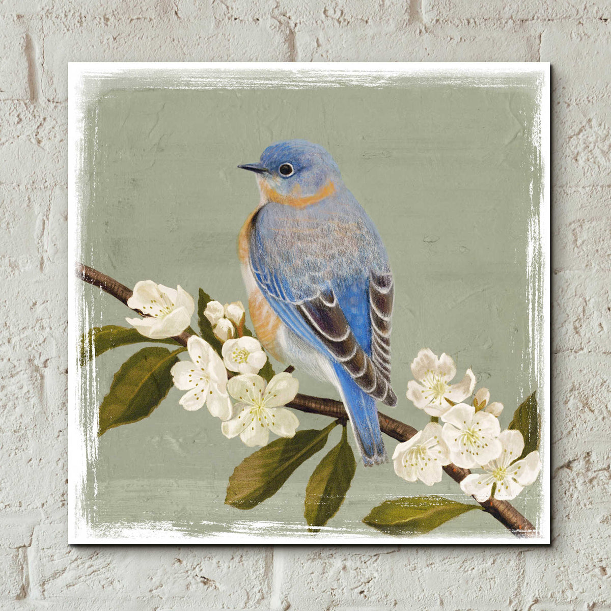 Epic Art 'Bluebird Branch II' by Victoria Borges, Acrylic Glass Wall Art,12x12