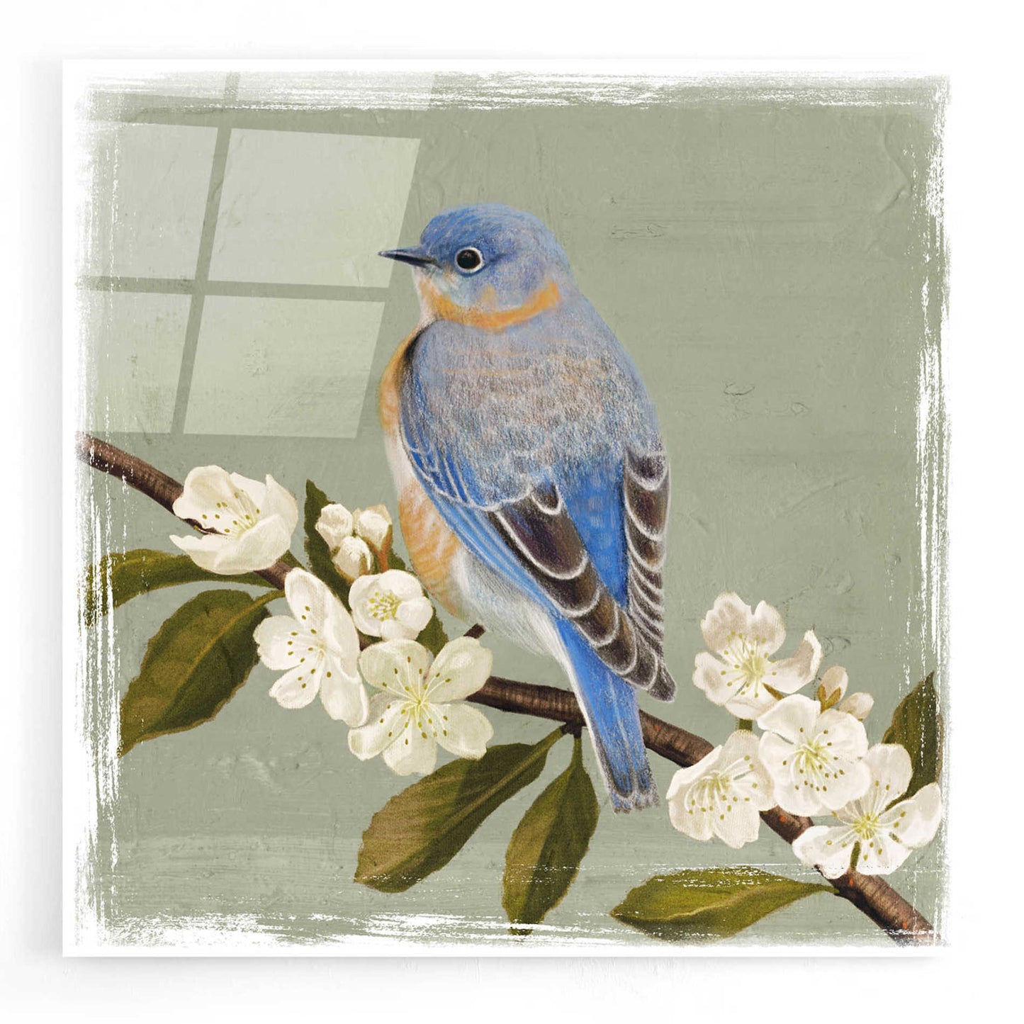 Epic Art 'Bluebird Branch II' by Victoria Borges, Acrylic Glass Wall Art,12x12