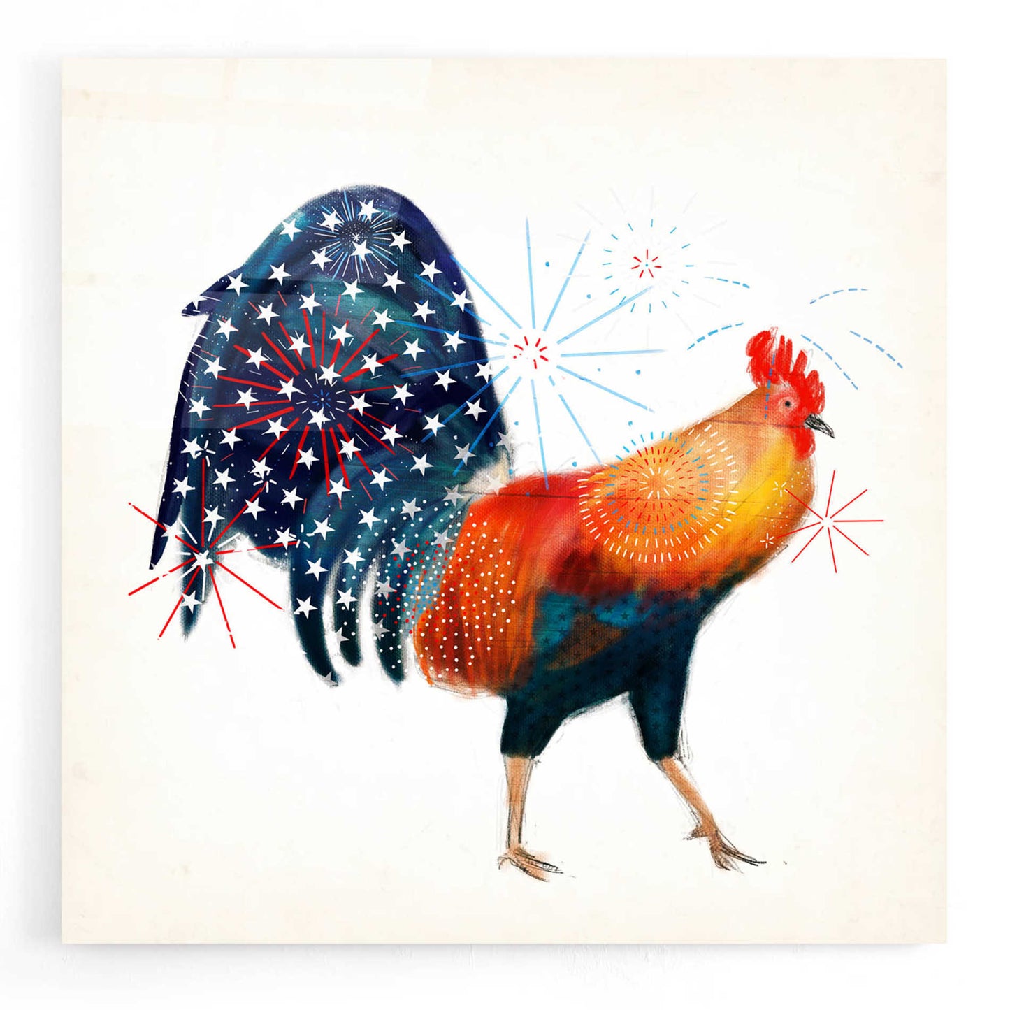 Epic Art 'Rooster Fireworks II' by Victoria Borges, Acrylic Glass Wall Art,12x12