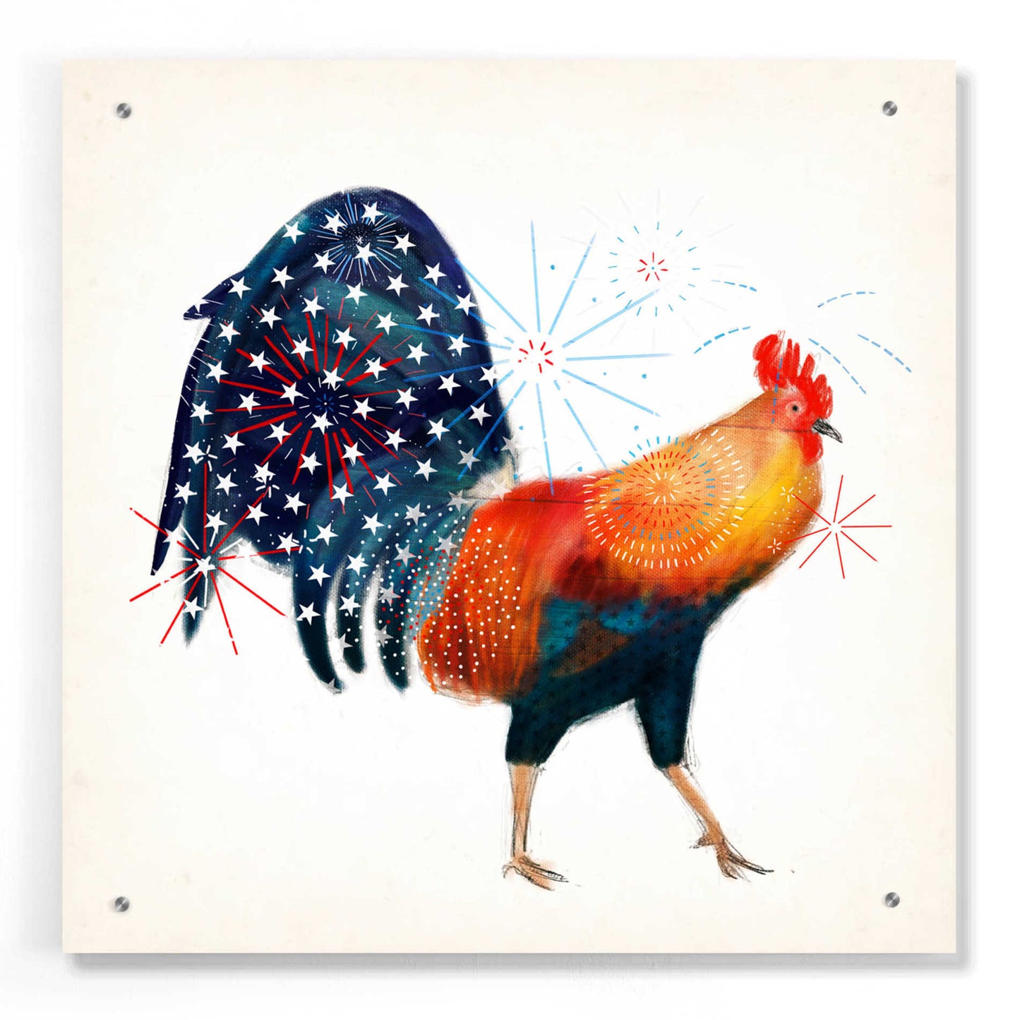 Epic Art 'Rooster Fireworks II' by Victoria Borges, Acrylic Glass Wall Art,24x24