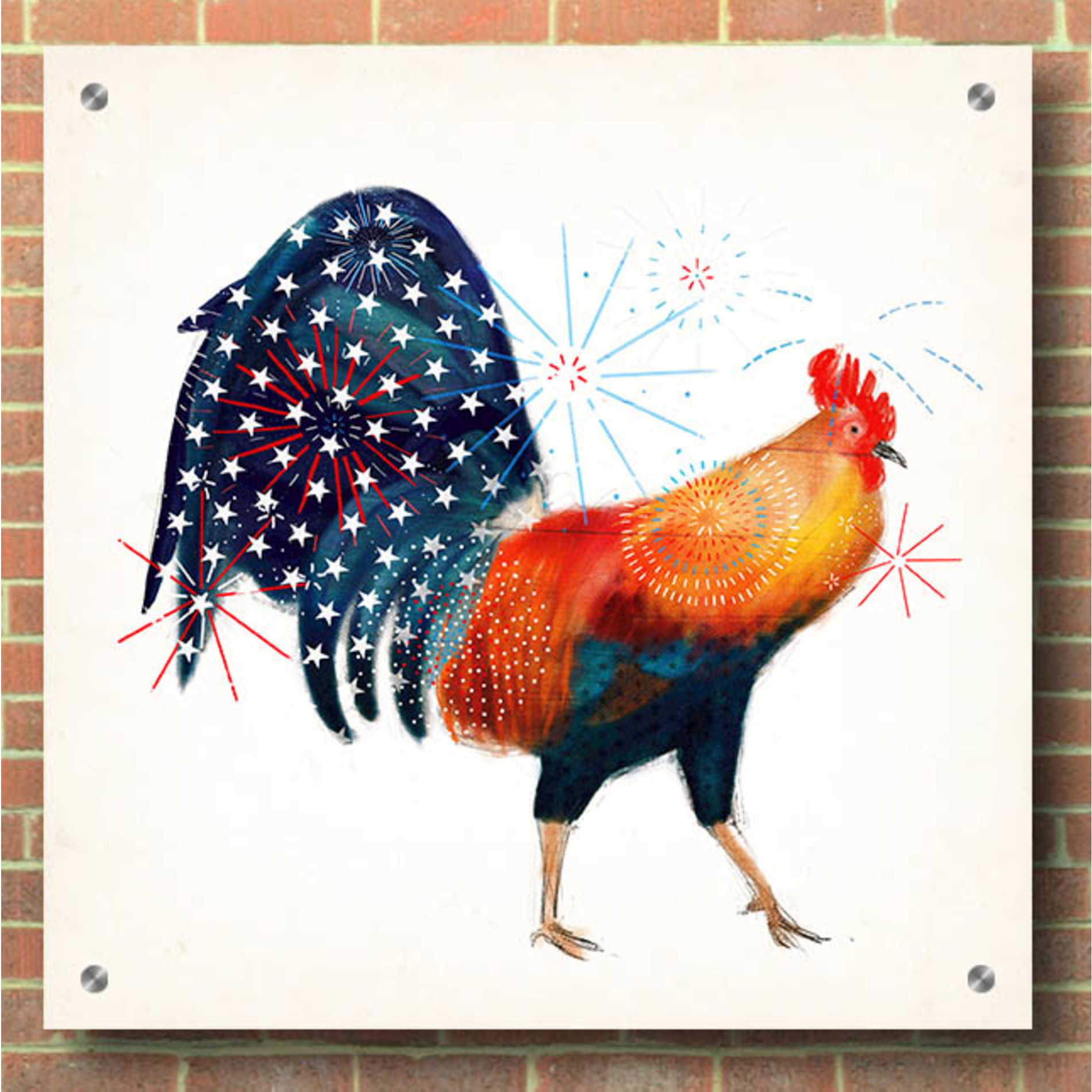 Epic Art 'Rooster Fireworks II' by Victoria Borges, Acrylic Glass Wall Art,36x36