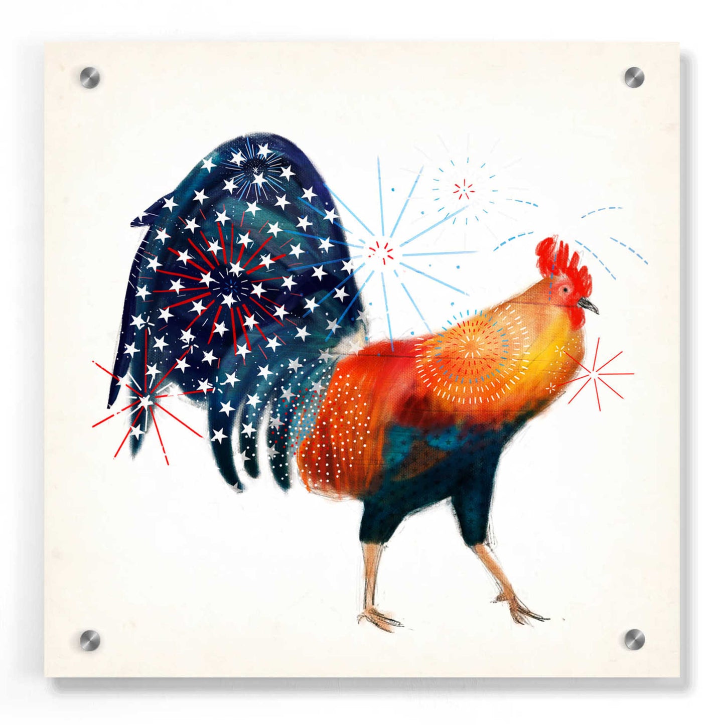 Epic Art 'Rooster Fireworks II' by Victoria Borges, Acrylic Glass Wall Art,36x36