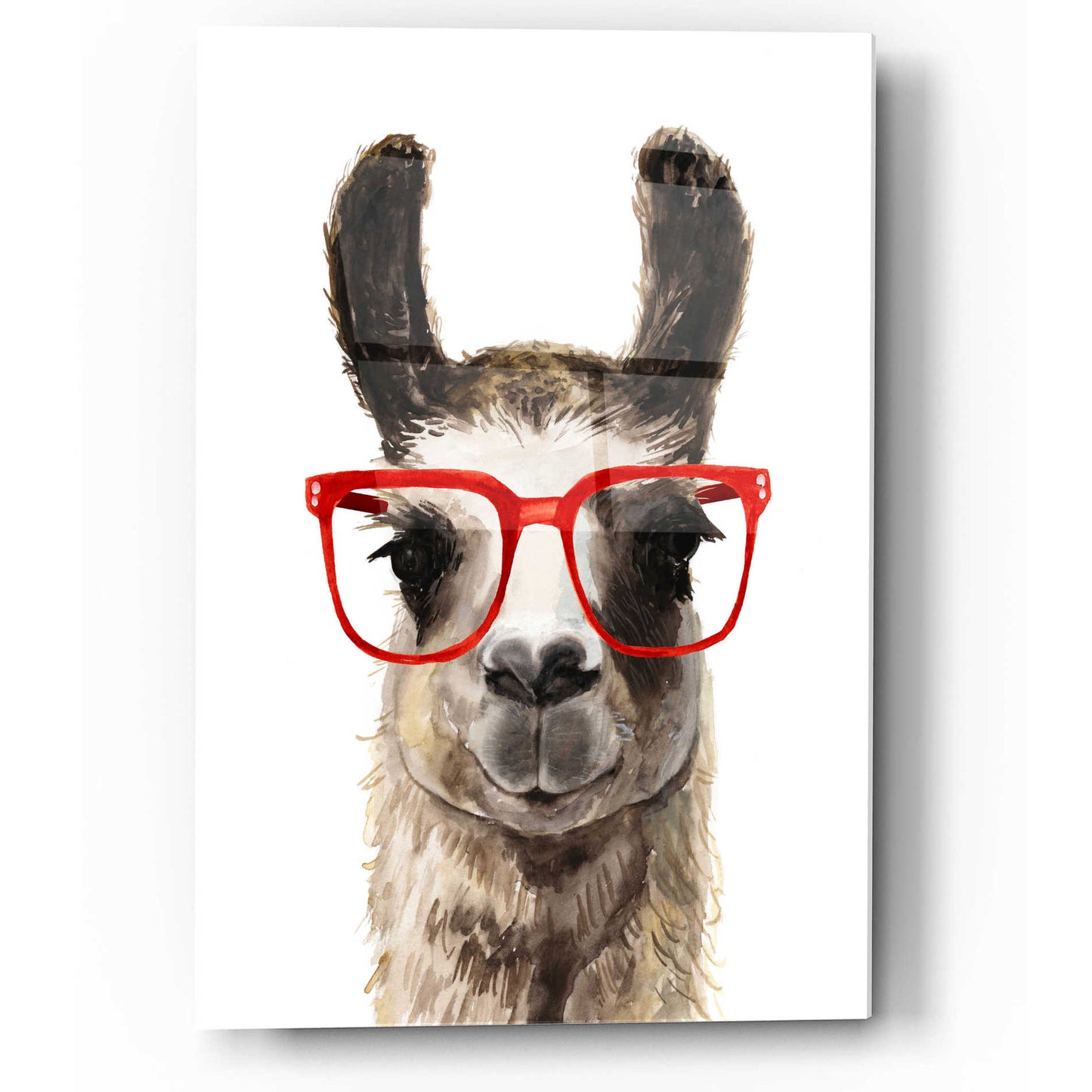 Epic Art 'Hip Llama I' by Victoria Borges, Acrylic Glass Wall Art