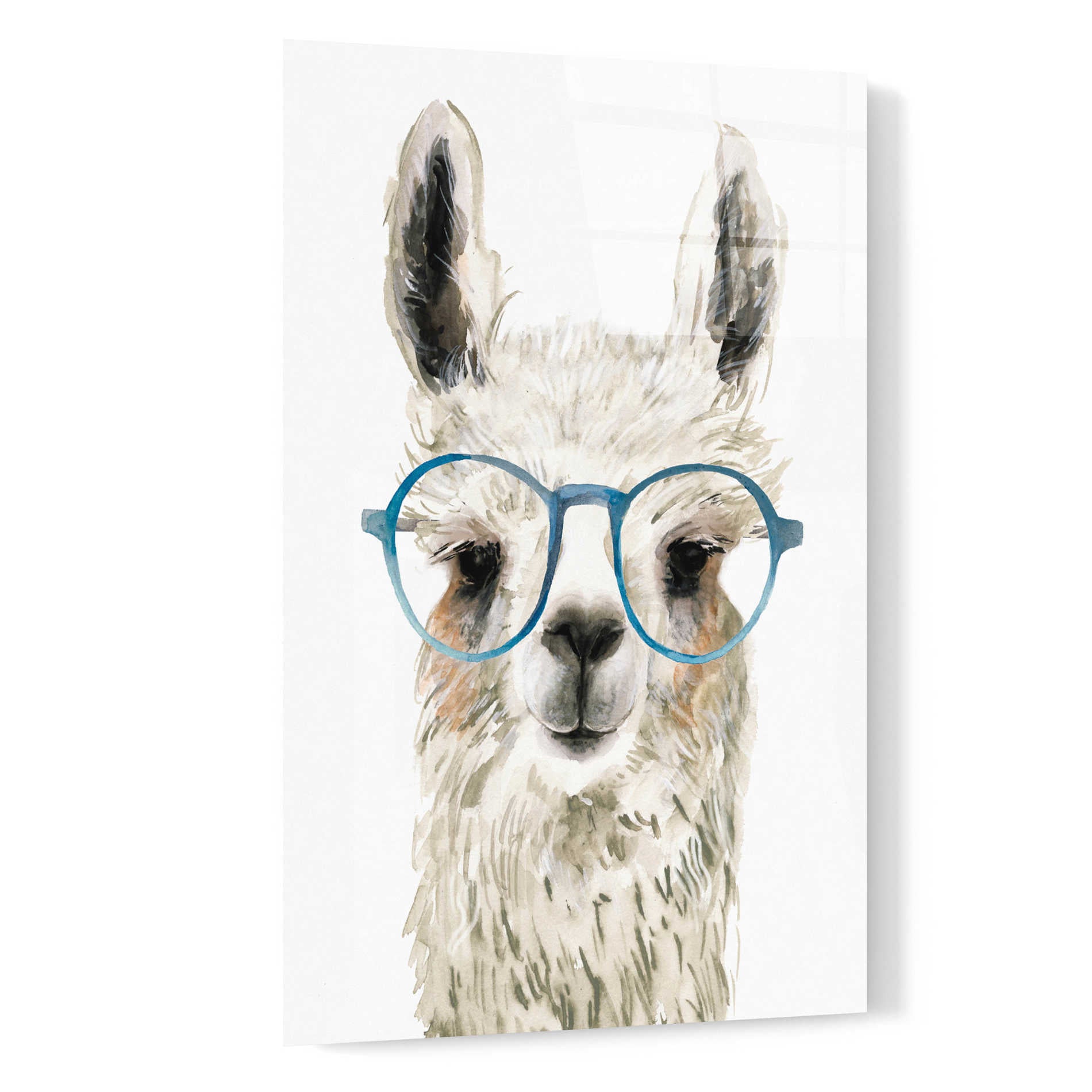 Epic Art 'Hip Llama II' by Victoria Borges, Acrylic Glass Wall Art,16x24