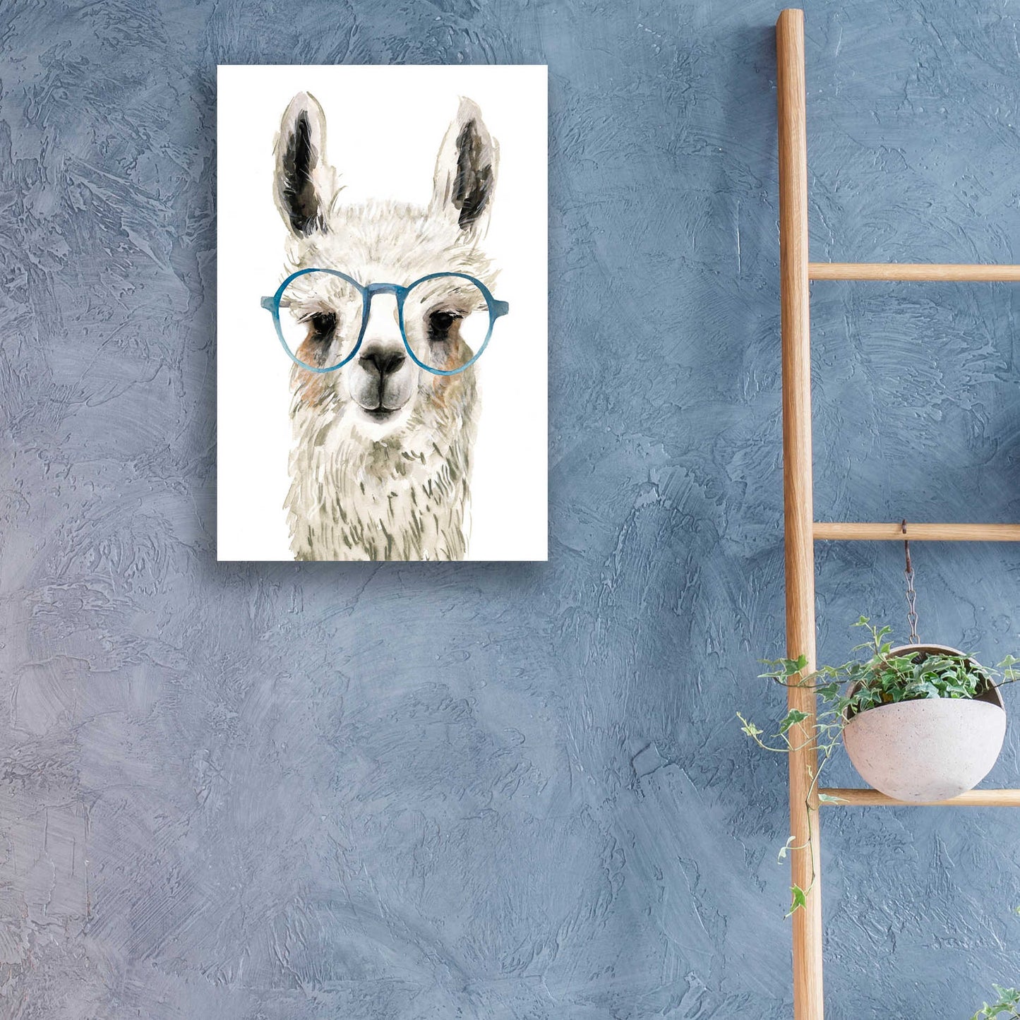 Epic Art 'Hip Llama II' by Victoria Borges, Acrylic Glass Wall Art,16x24