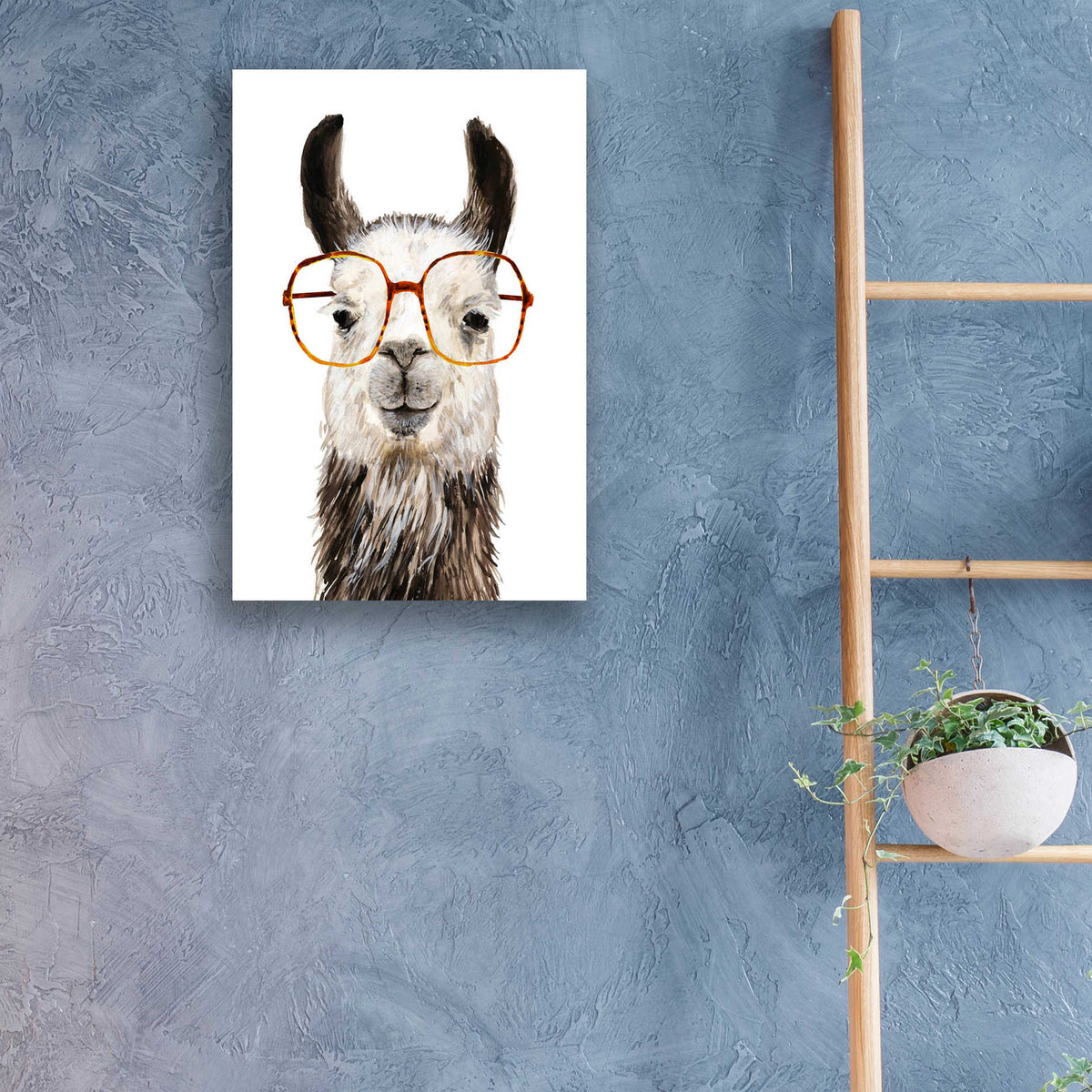 Epic Art 'Hip Llama III' by Victoria Borges, Acrylic Glass Wall Art,16x24