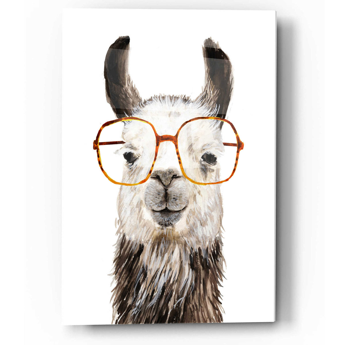 Epic Art 'Hip Llama III' by Victoria Borges, Acrylic Glass Wall Art