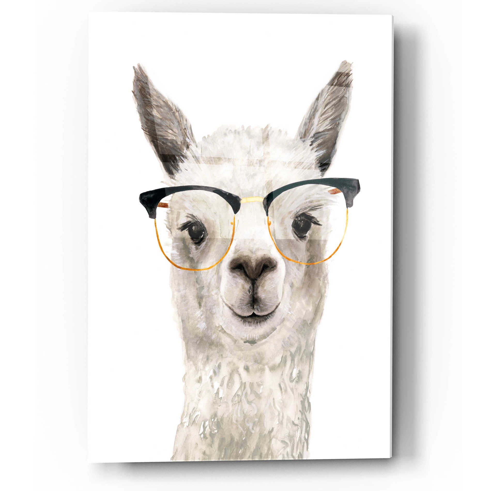 Epic Art 'Hip Llama IV' by Victoria Borges, Acrylic Glass Wall Art,12x16