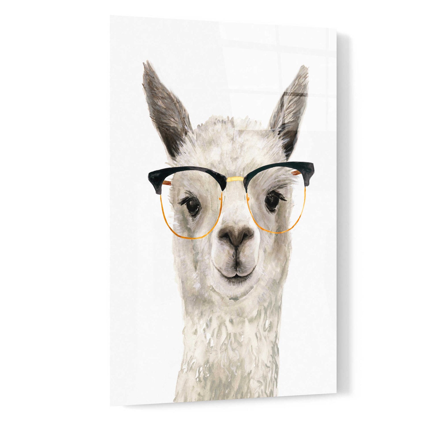 Epic Art 'Hip Llama IV' by Victoria Borges, Acrylic Glass Wall Art,16x24