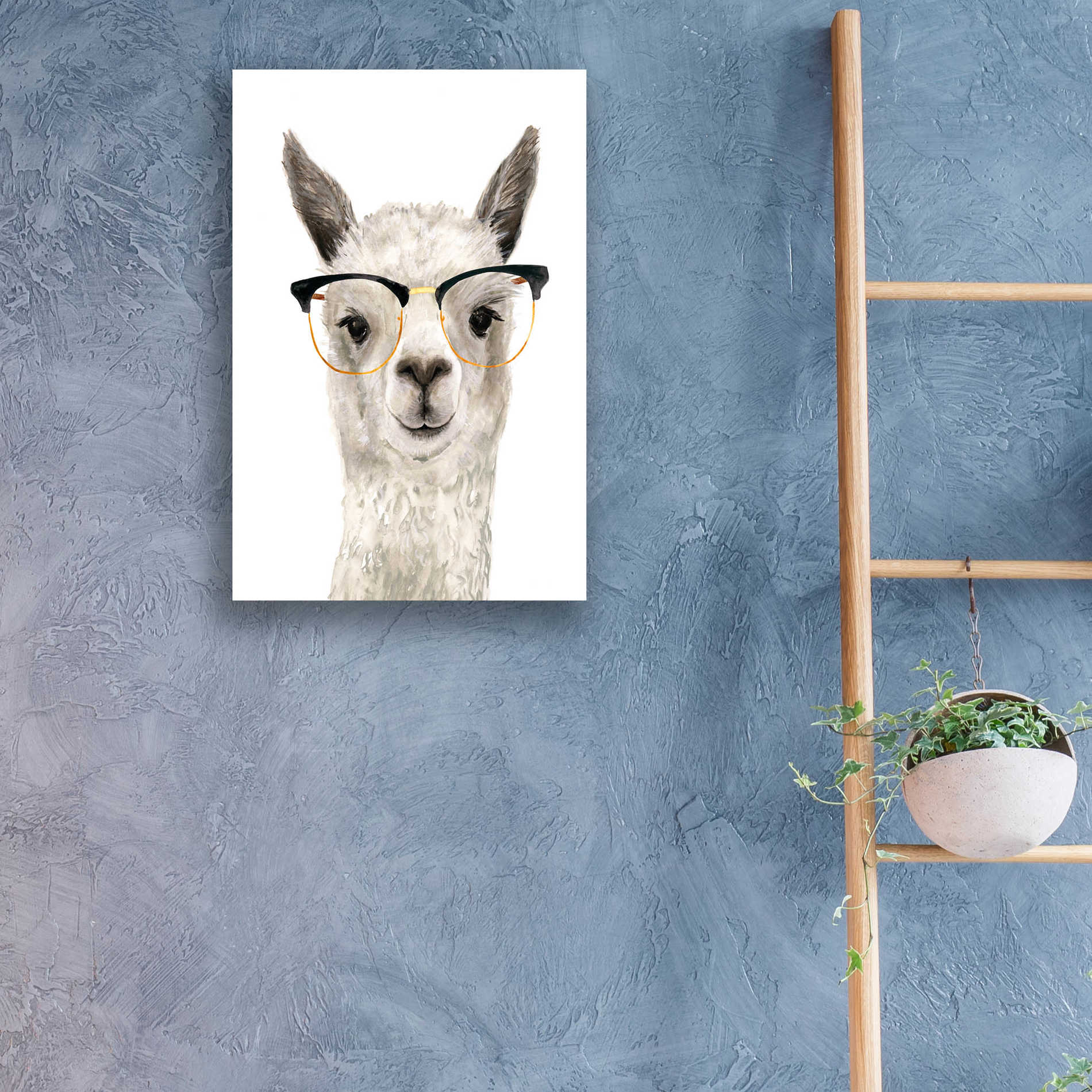 Epic Art 'Hip Llama IV' by Victoria Borges, Acrylic Glass Wall Art,16x24