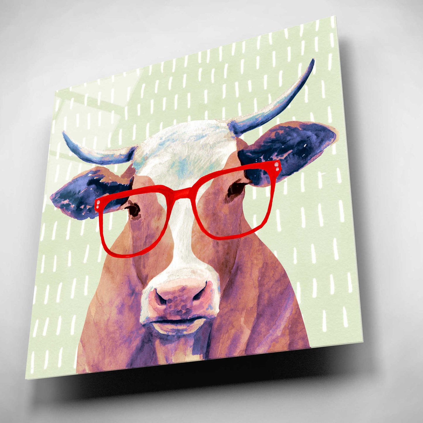 Epic Art 'Bespectacled Bovine I' by Victoria Borges, Acrylic Glass Wall Art,12x12