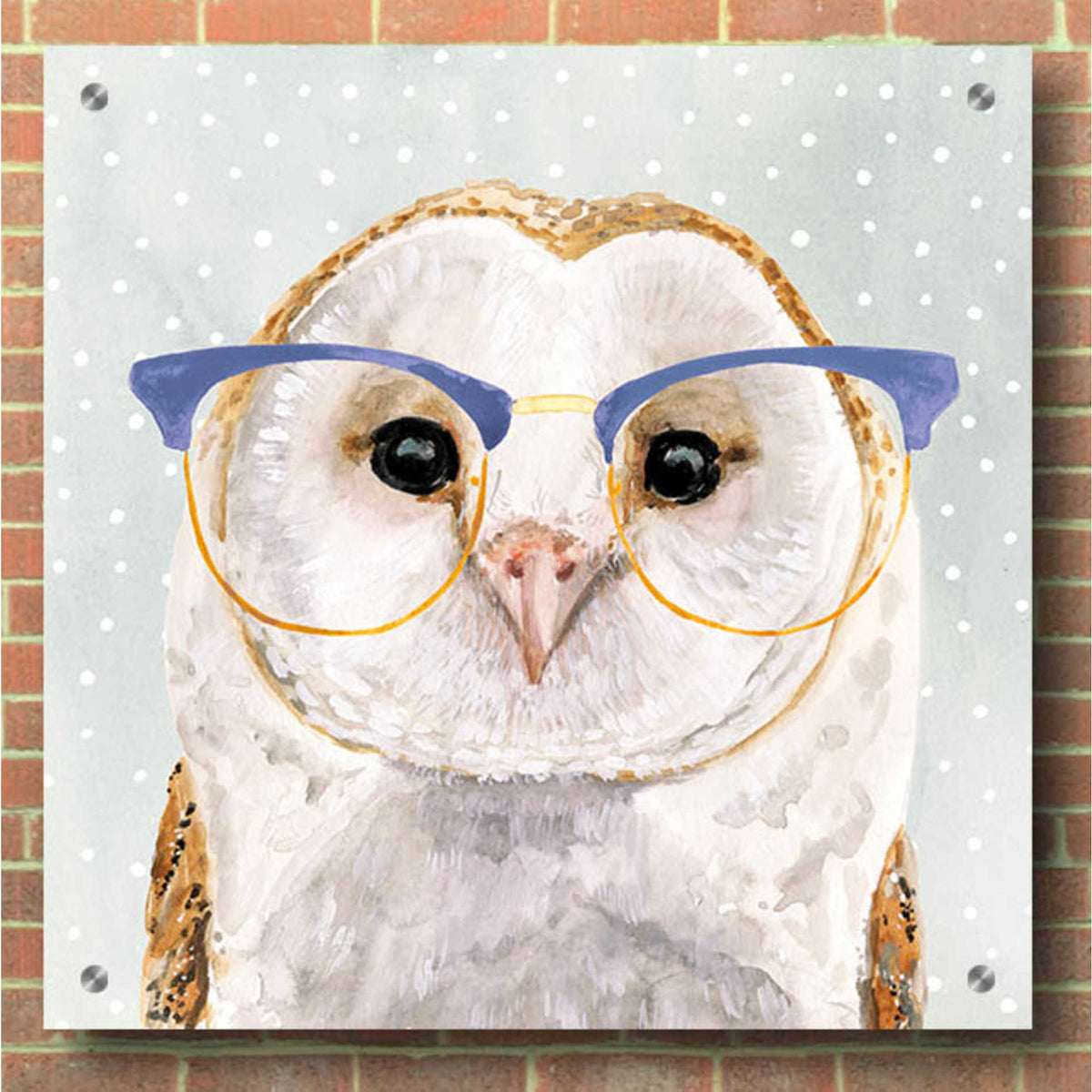 Epic Art 'Four-Eyed Forester II' by Victoria Borges, Acrylic Glass Wall Art,36x36
