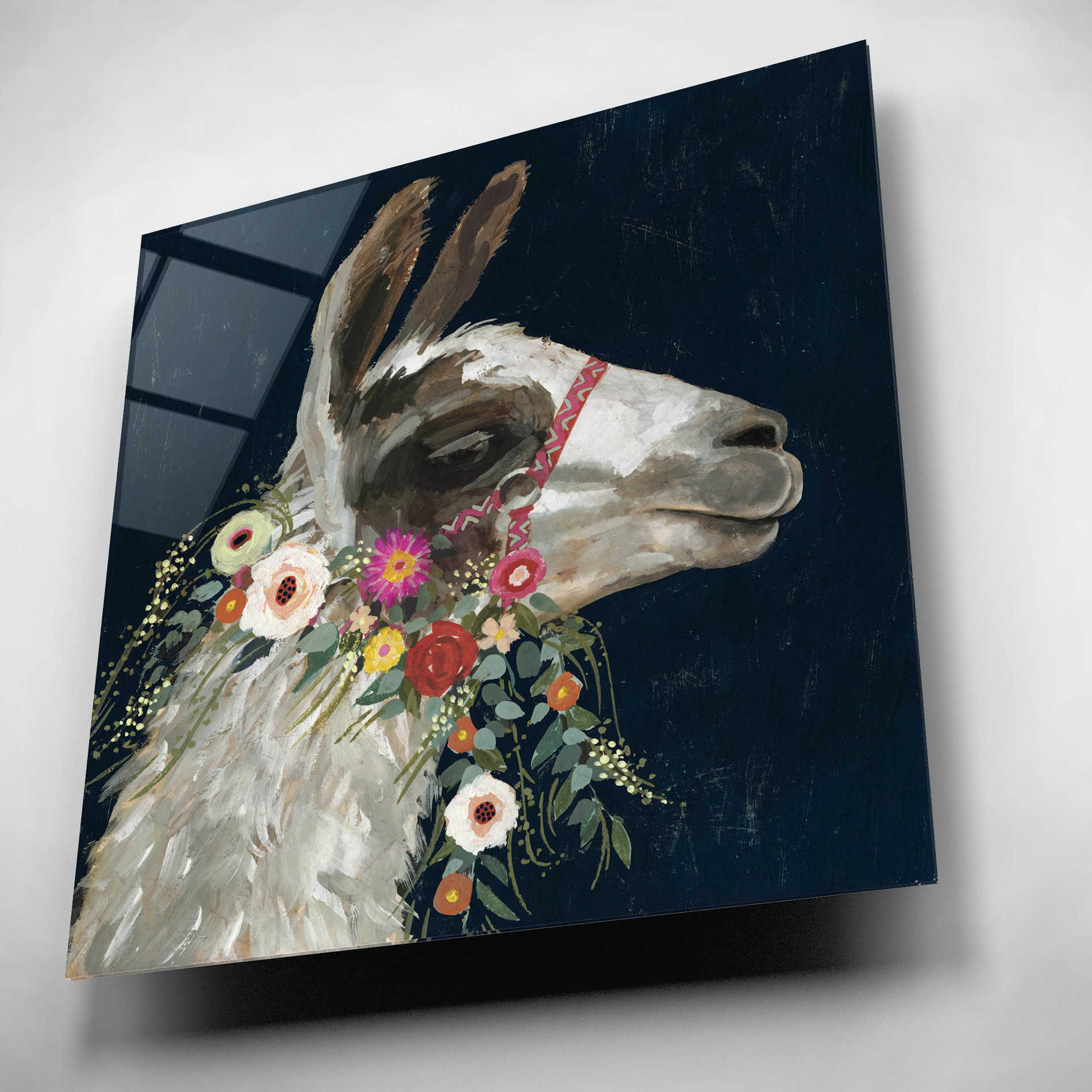 Epic Art 'Lovely Llama I' by Victoria Borges, Acrylic Glass Wall Art,12x12