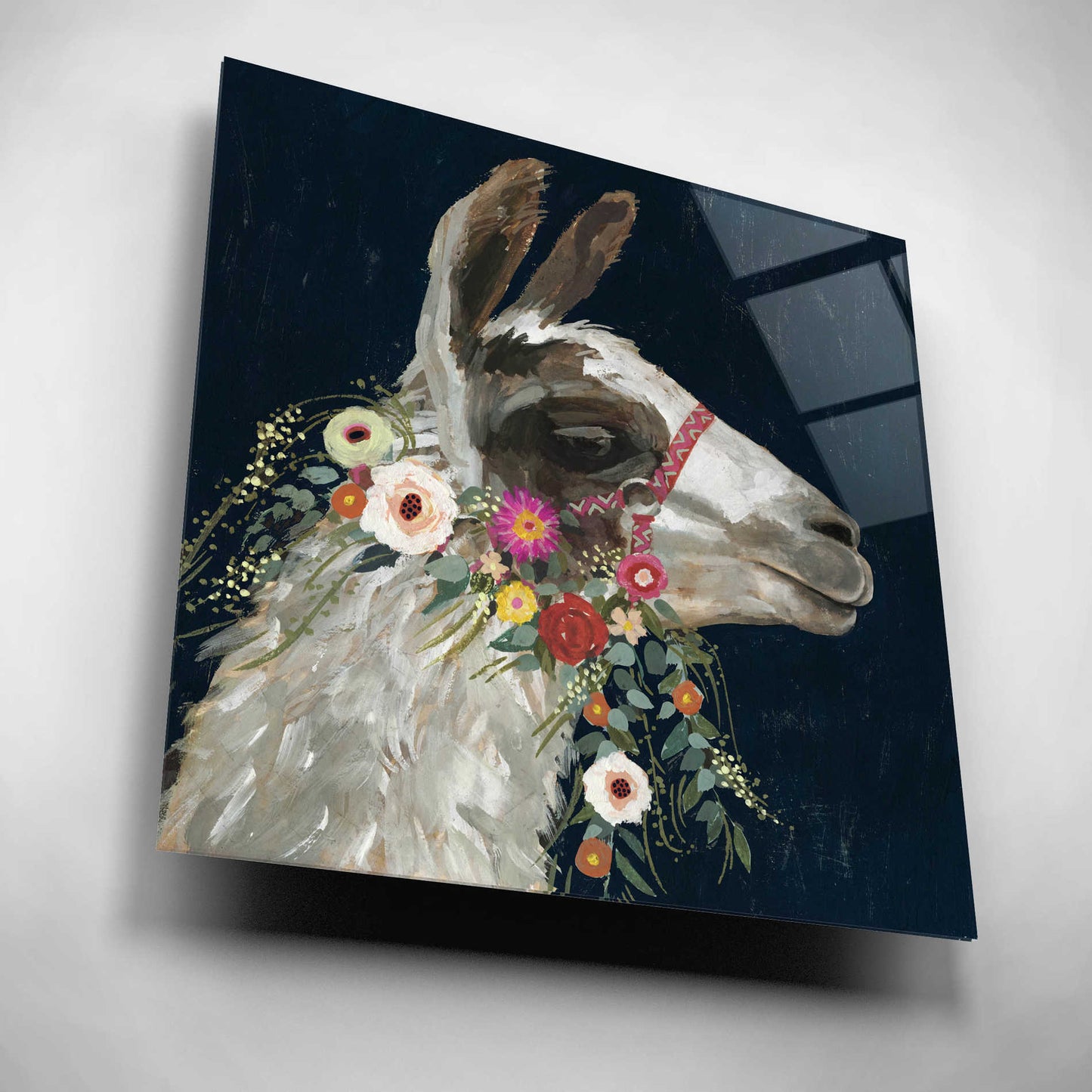 Epic Art 'Lovely Llama I' by Victoria Borges, Acrylic Glass Wall Art,12x12