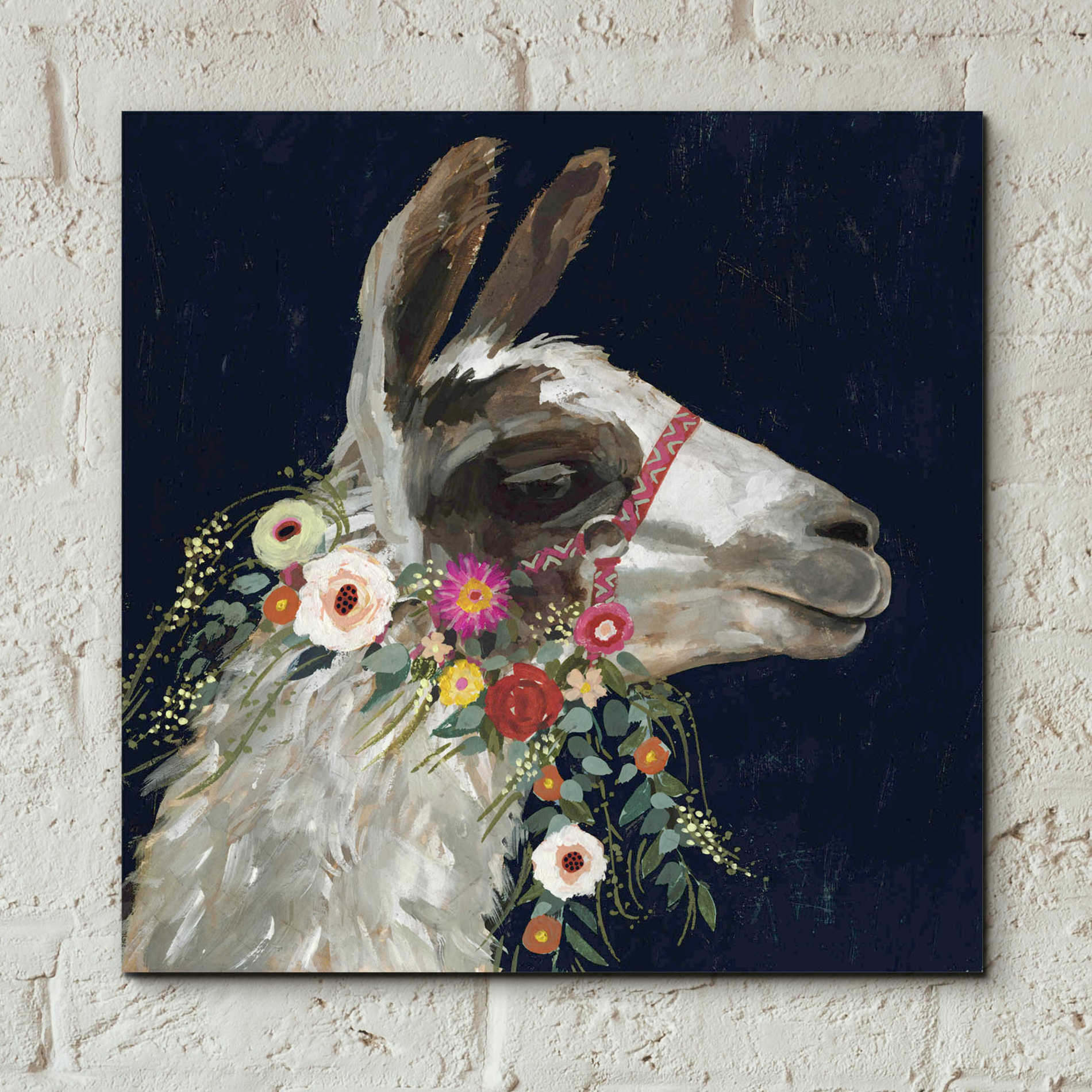 Epic Art 'Lovely Llama I' by Victoria Borges, Acrylic Glass Wall Art,12x12