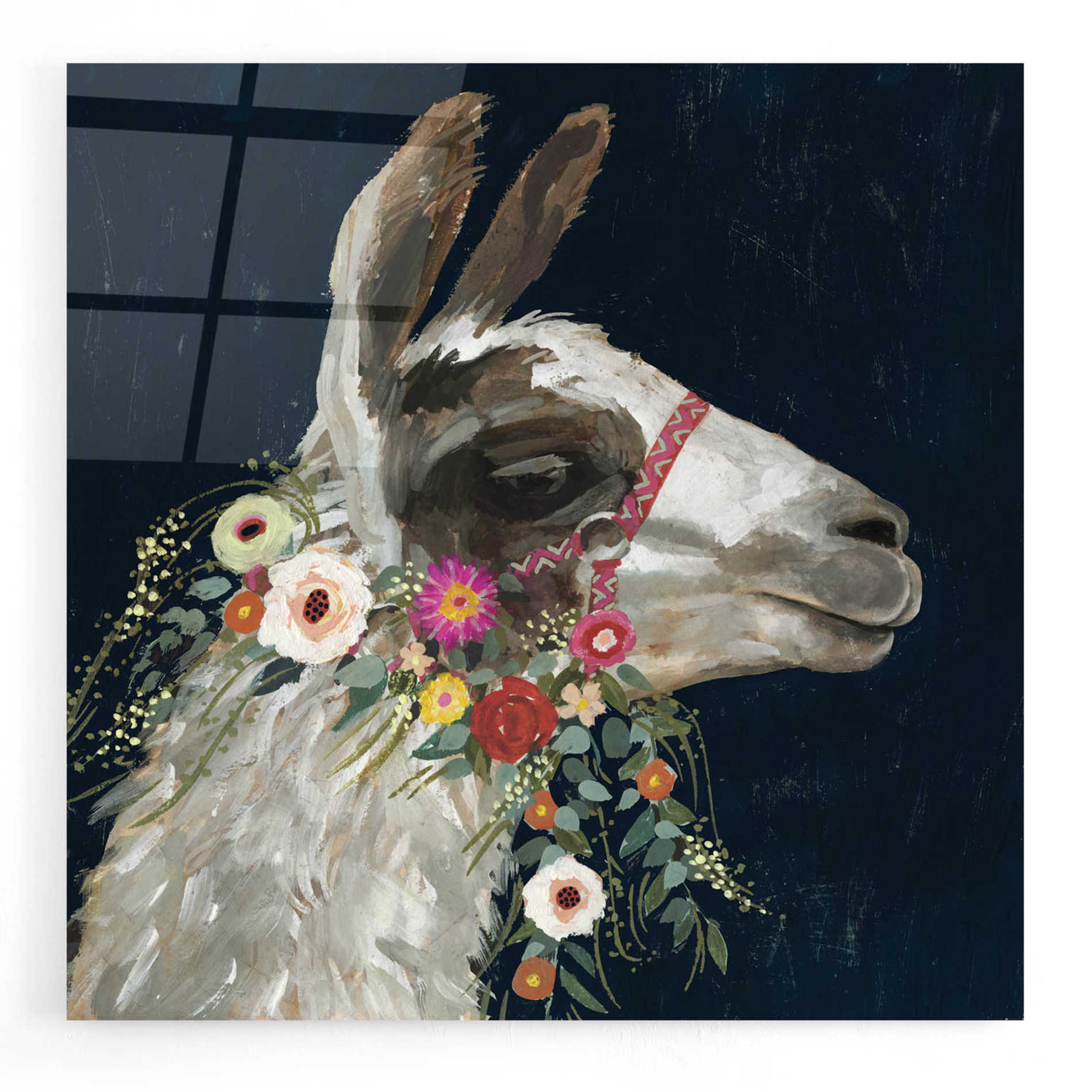 Epic Art 'Lovely Llama I' by Victoria Borges, Acrylic Glass Wall Art,12x12