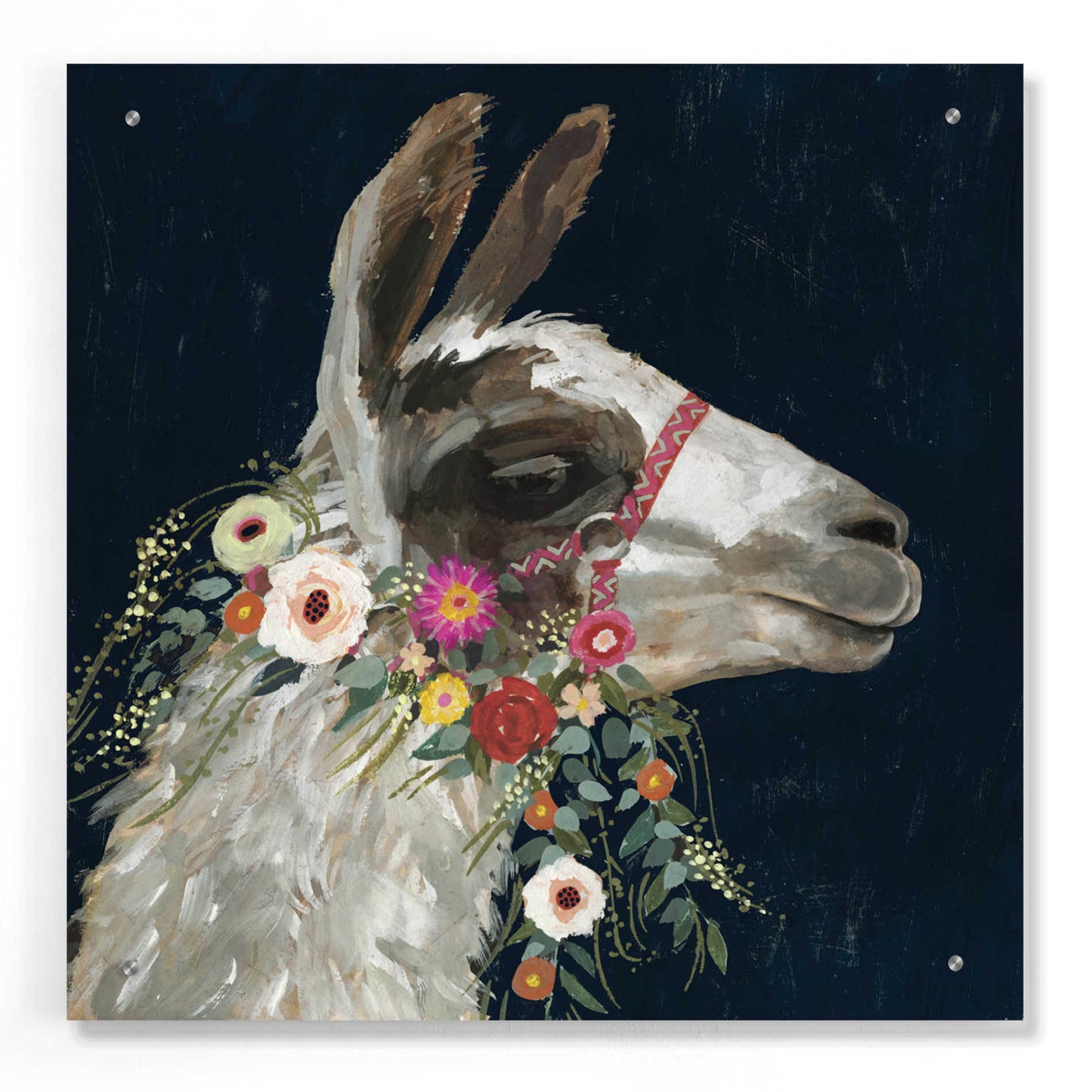 Epic Art 'Lovely Llama I' by Victoria Borges, Acrylic Glass Wall Art,24x24