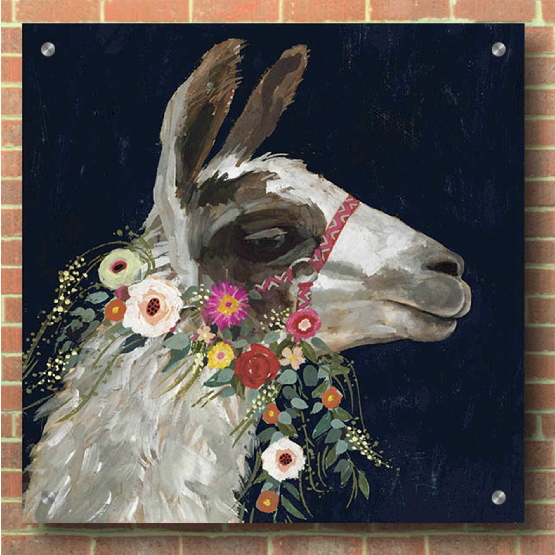 Epic Art 'Lovely Llama I' by Victoria Borges, Acrylic Glass Wall Art,36x36