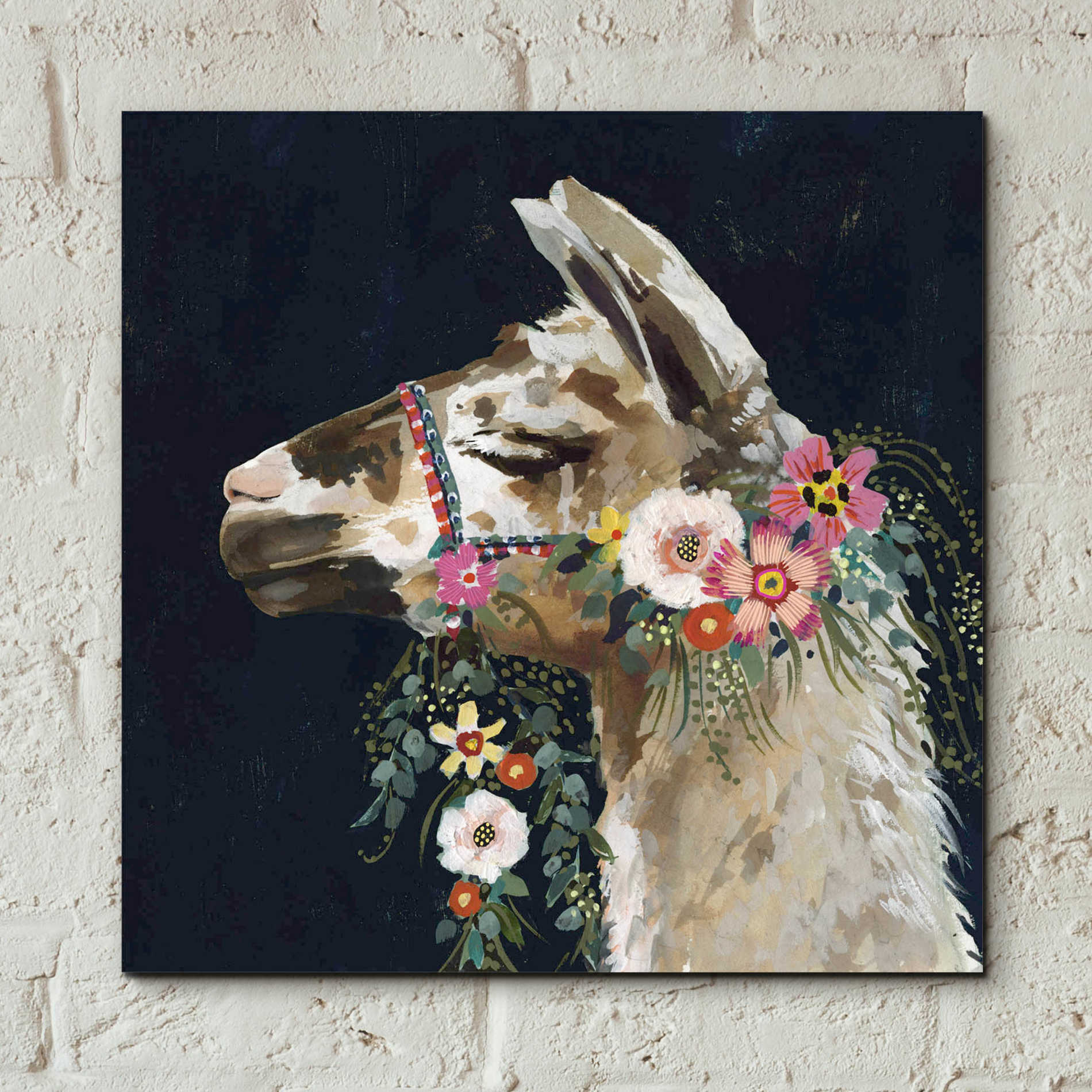 Epic Art 'Lovely Llama II' by Victoria Borges, Acrylic Glass Wall Art,12x12