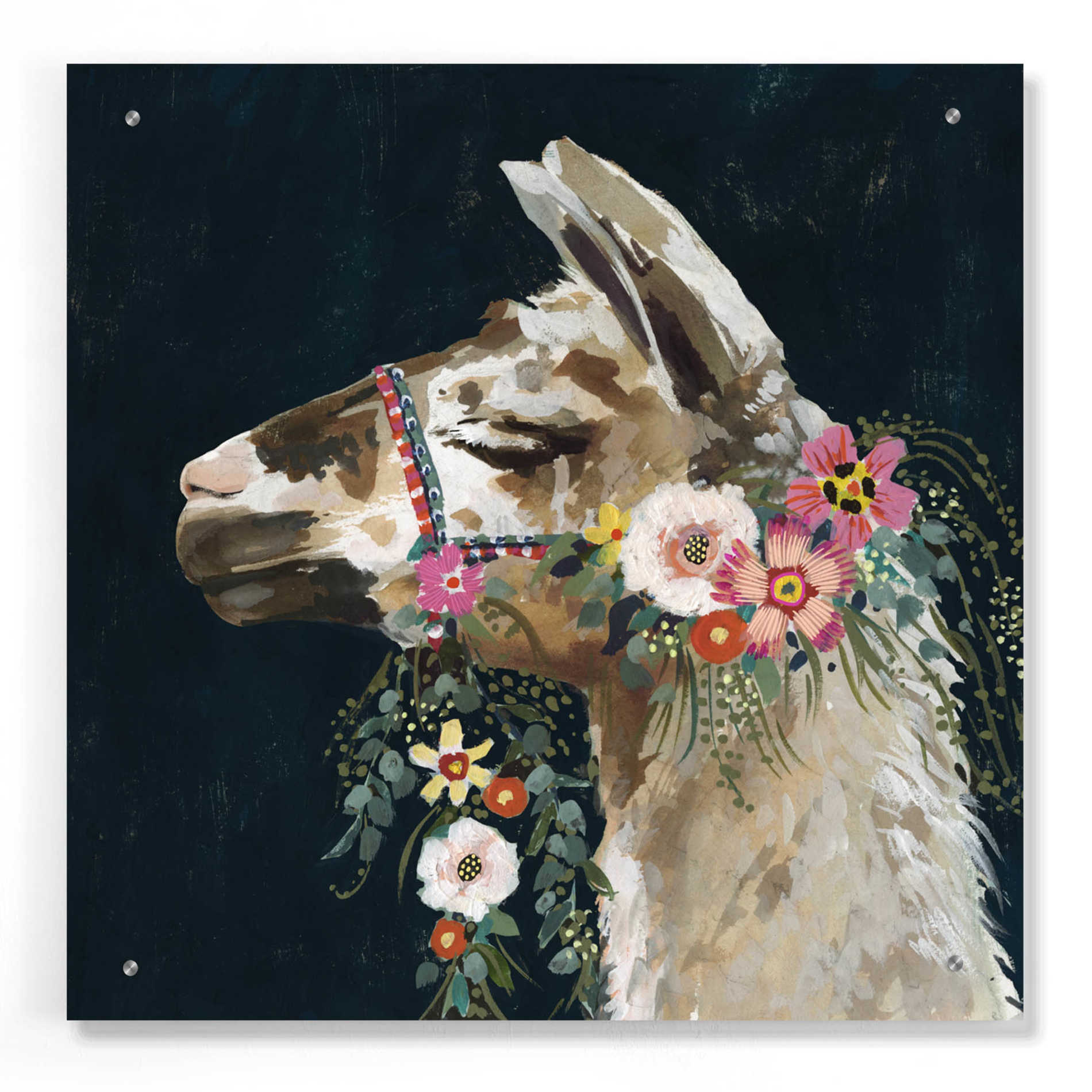 Epic Art 'Lovely Llama II' by Victoria Borges, Acrylic Glass Wall Art,24x24
