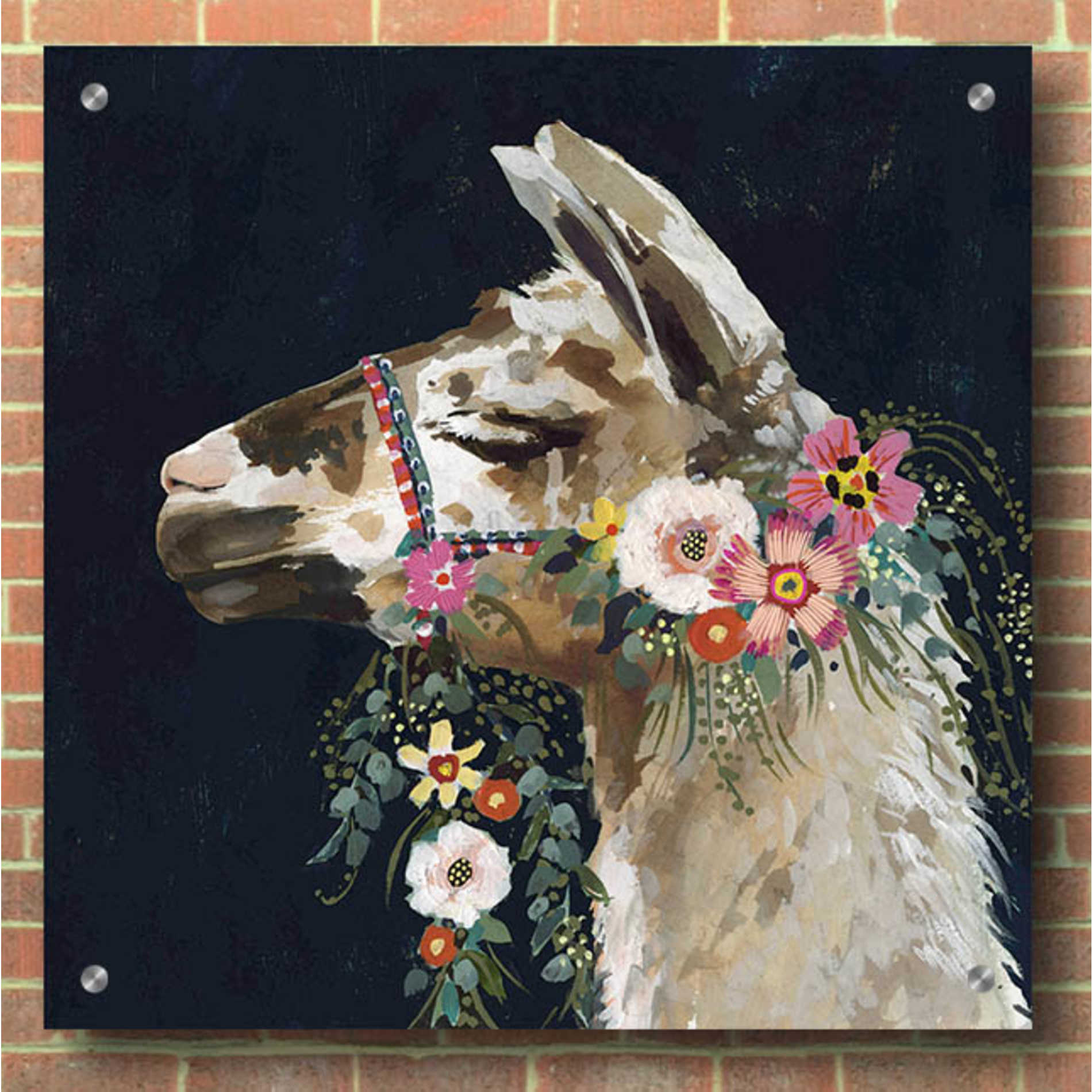 Epic Art 'Lovely Llama II' by Victoria Borges, Acrylic Glass Wall Art,36x36