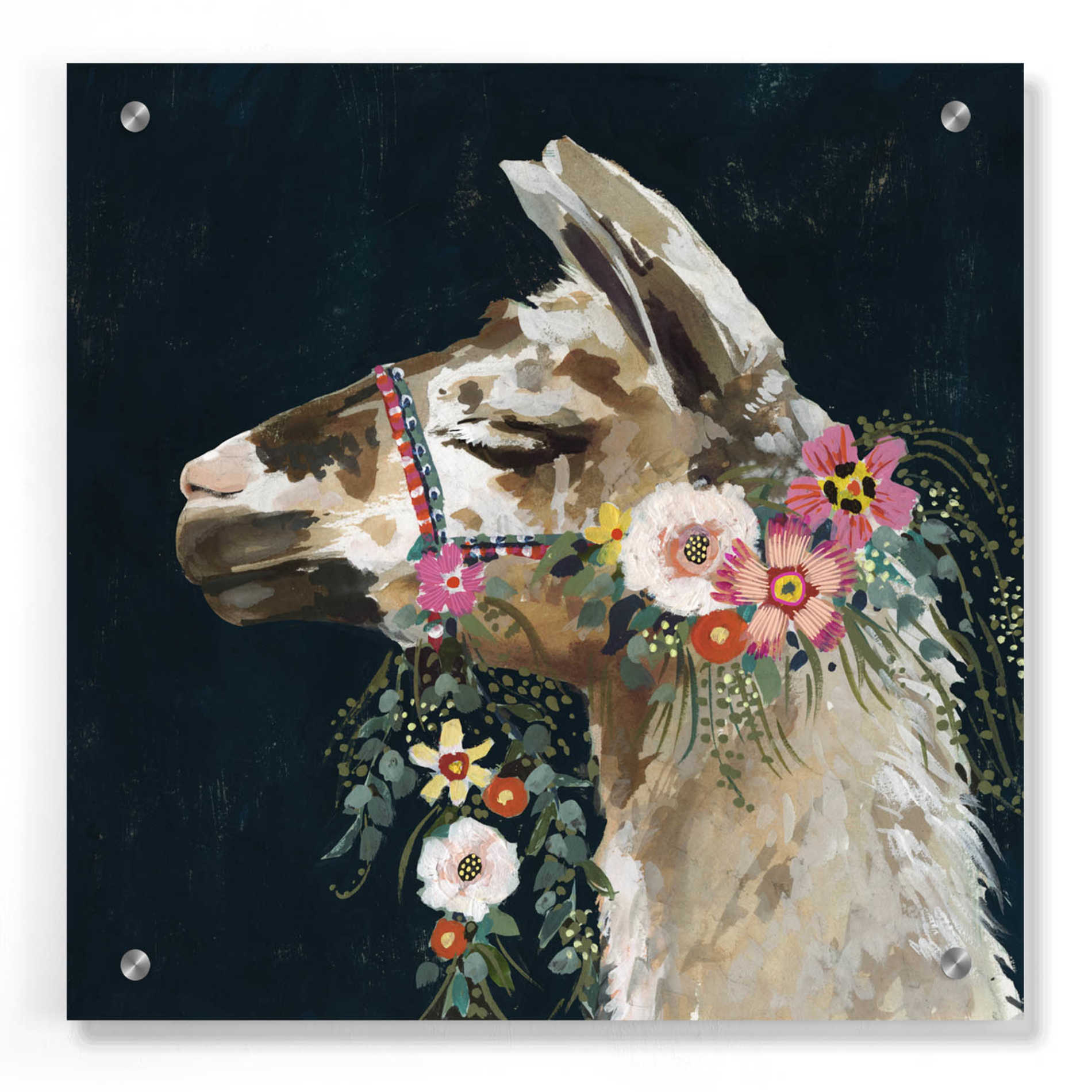 Epic Art 'Lovely Llama II' by Victoria Borges, Acrylic Glass Wall Art,36x36
