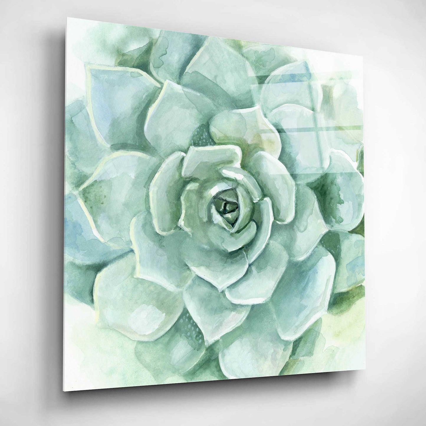 Epic Art 'Verdant Succulent I' by Victoria Borges, Acrylic Glass Wall Art,12x12