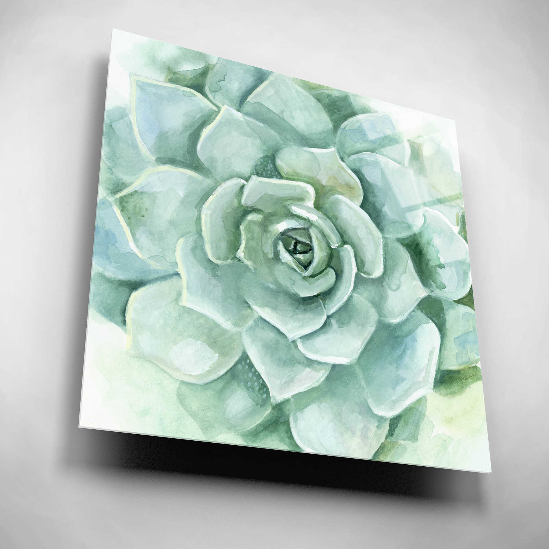 Epic Art 'Verdant Succulent I' by Victoria Borges, Acrylic Glass Wall Art,12x12