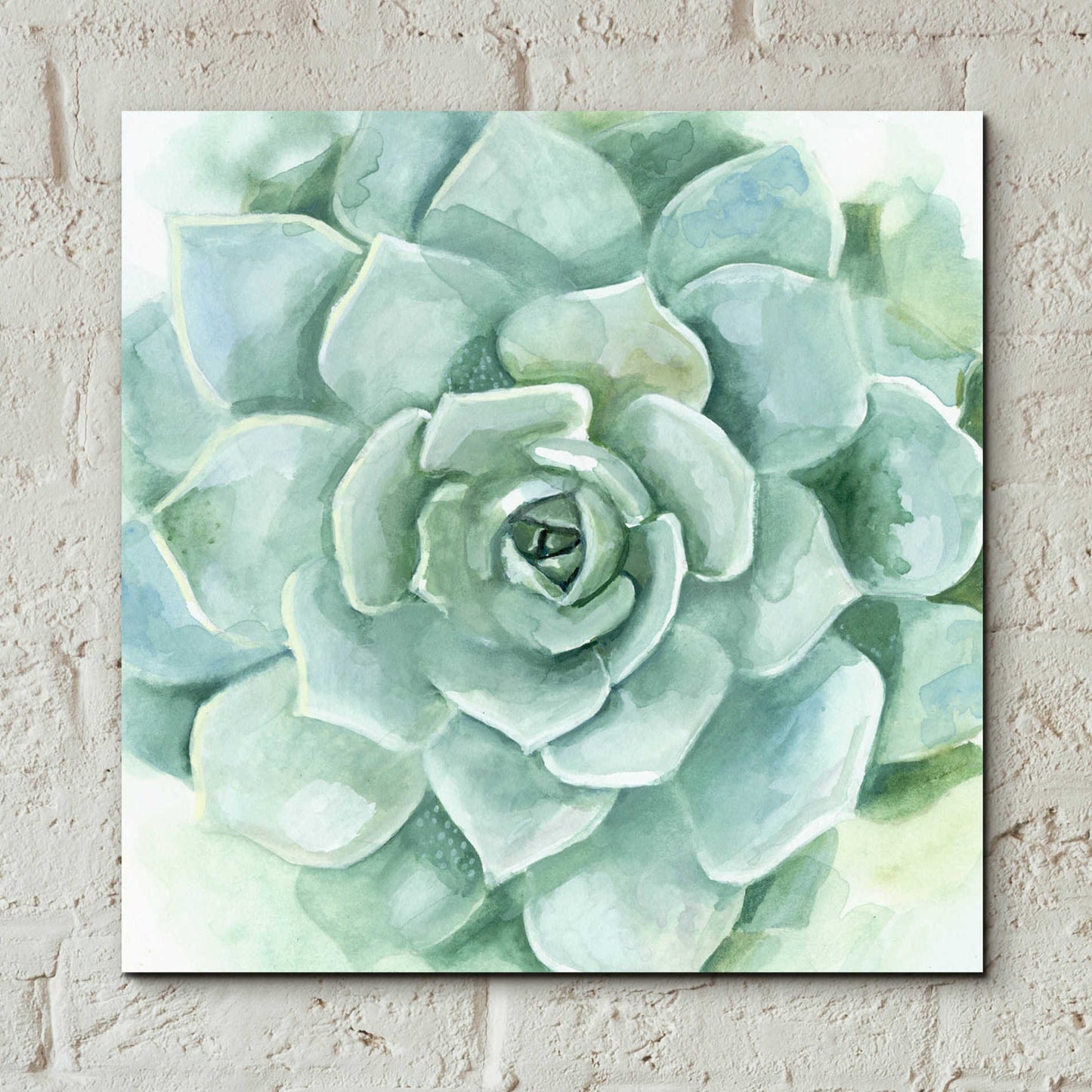 Epic Art 'Verdant Succulent I' by Victoria Borges, Acrylic Glass Wall Art,12x12