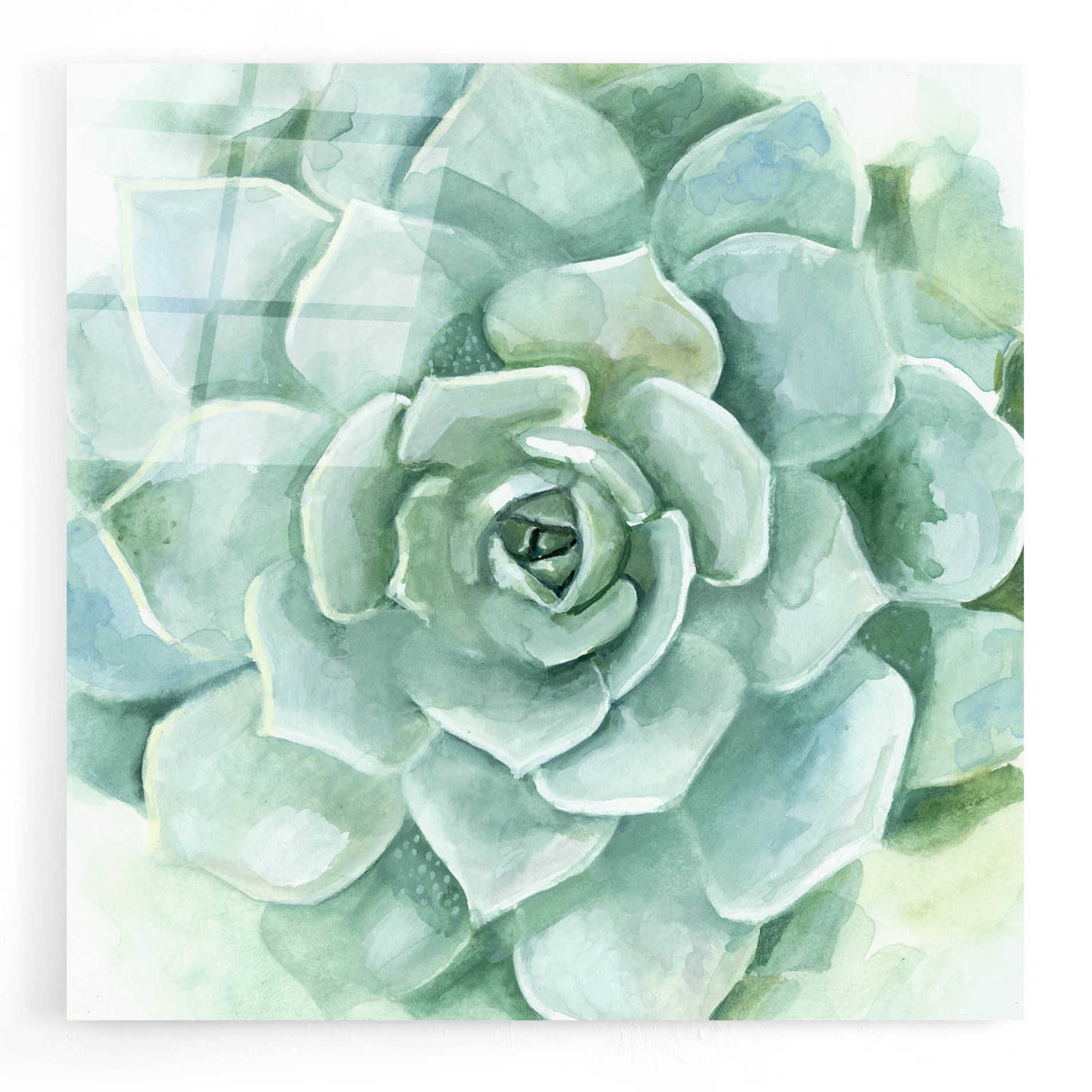 Epic Art 'Verdant Succulent I' by Victoria Borges, Acrylic Glass Wall Art,12x12