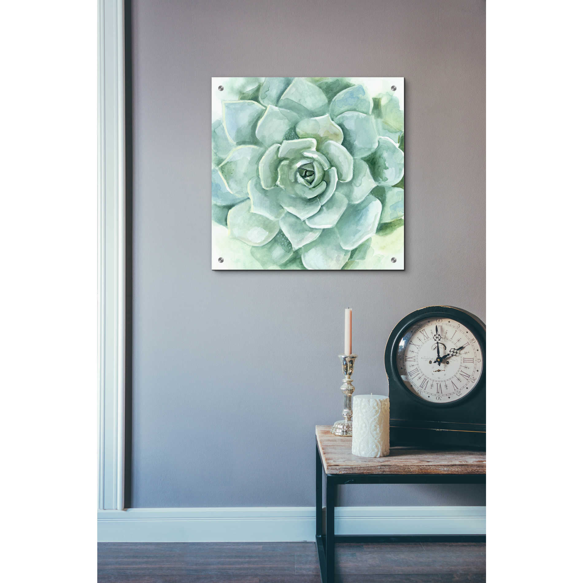 Epic Art 'Verdant Succulent I' by Victoria Borges, Acrylic Glass Wall Art,24x24