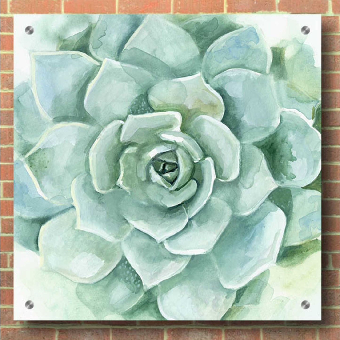 Epic Art 'Verdant Succulent I' by Victoria Borges, Acrylic Glass Wall Art,36x36