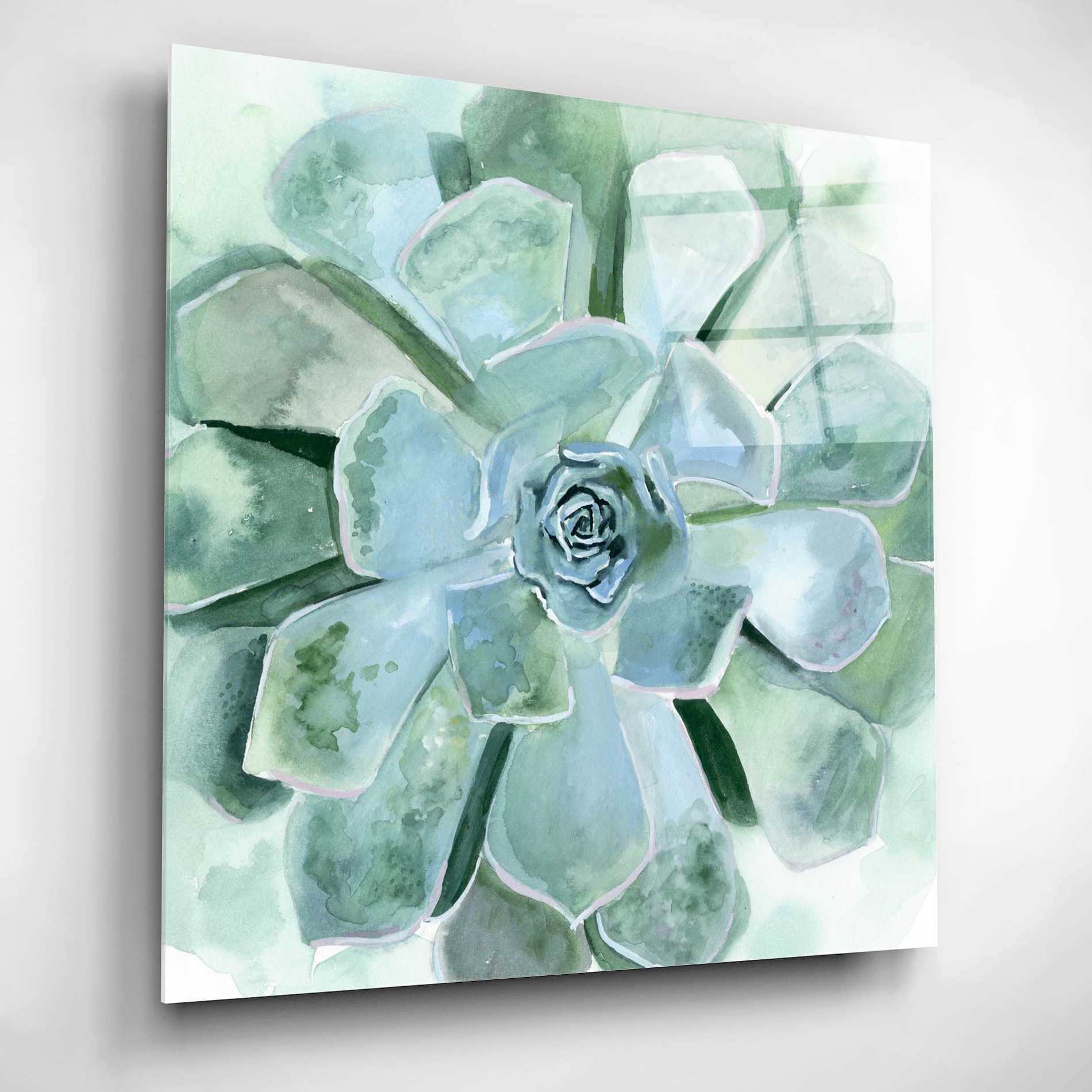 Epic Art 'Verdant Succulent III' by Victoria Borges, Acrylic Glass Wall Art,12x12