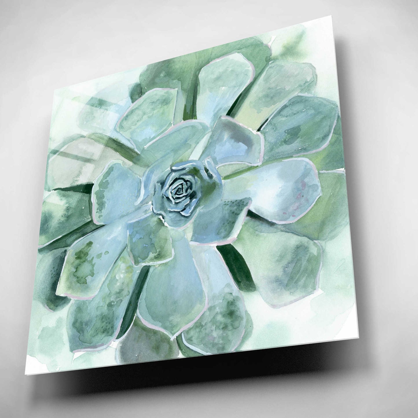 Epic Art 'Verdant Succulent III' by Victoria Borges, Acrylic Glass Wall Art,12x12