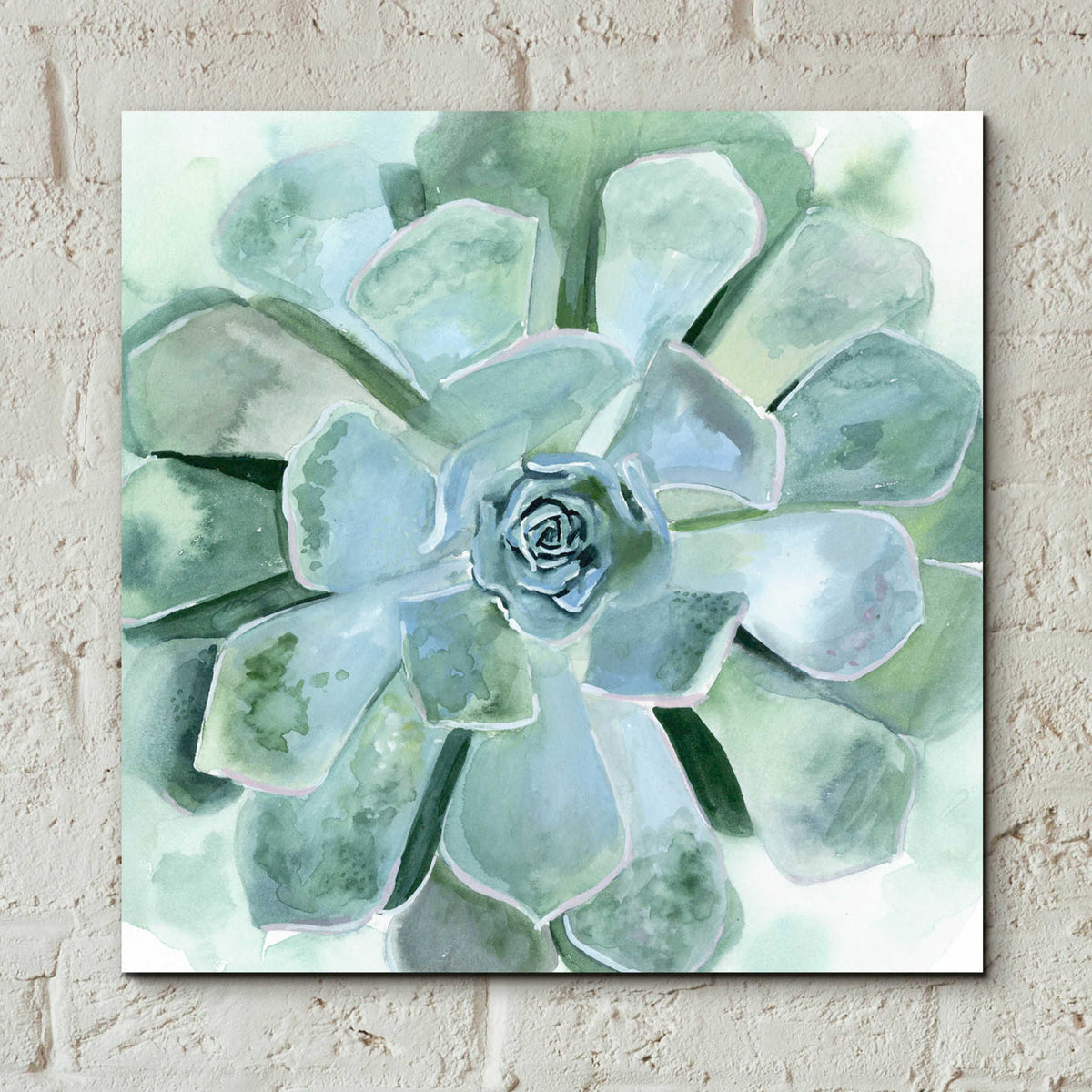 Epic Art 'Verdant Succulent III' by Victoria Borges, Acrylic Glass Wall Art,12x12