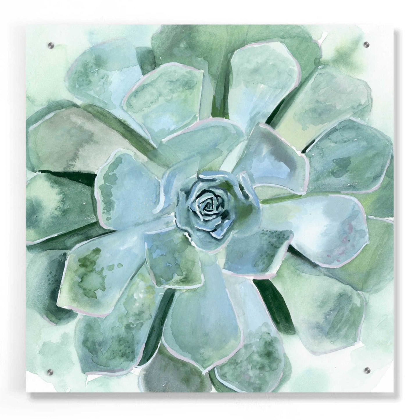 Epic Art 'Verdant Succulent III' by Victoria Borges, Acrylic Glass Wall Art,24x24