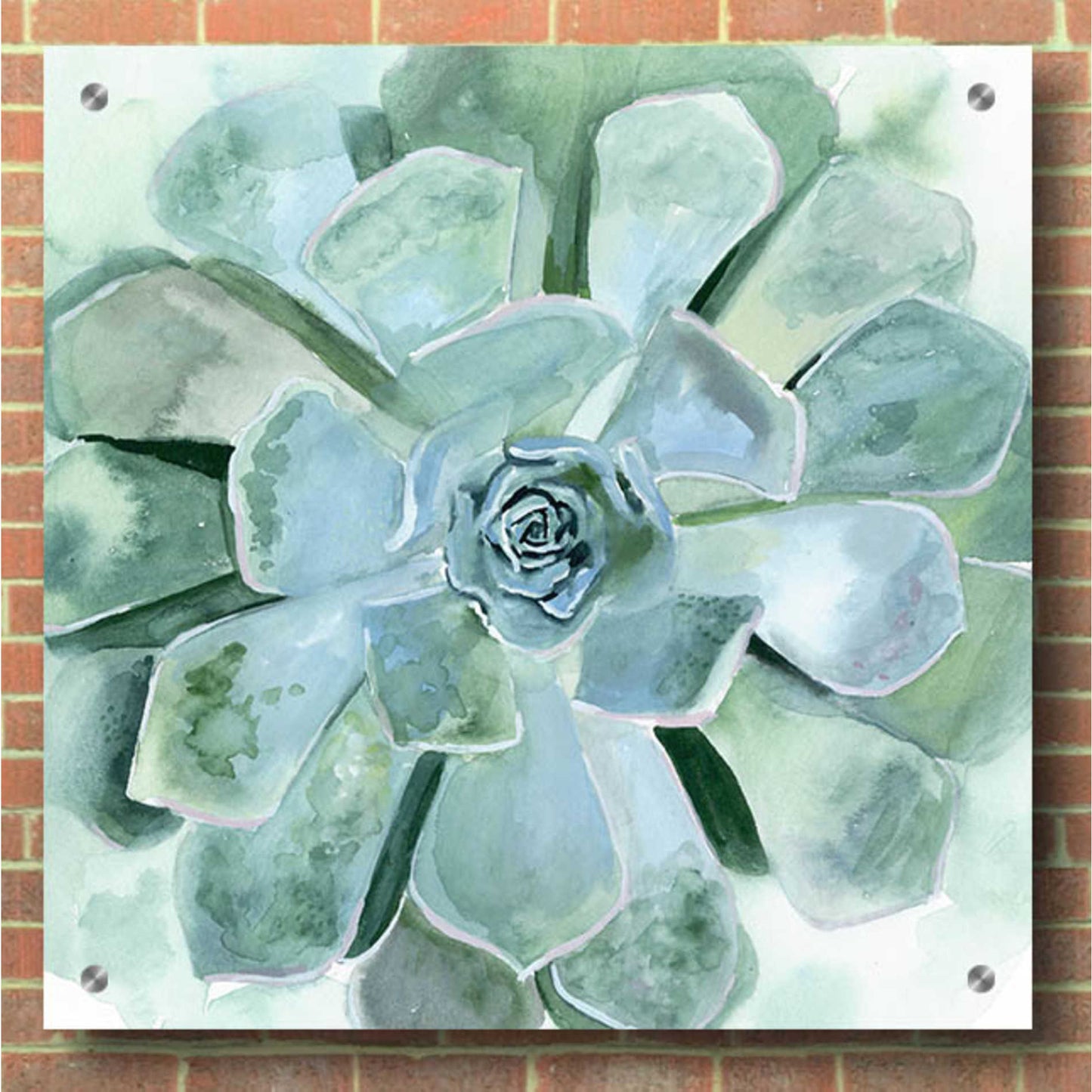 Epic Art 'Verdant Succulent III' by Victoria Borges, Acrylic Glass Wall Art,36x36