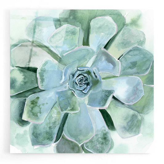 Epic Art 'Verdant Succulent III' by Victoria Borges, Acrylic Glass Wall Art