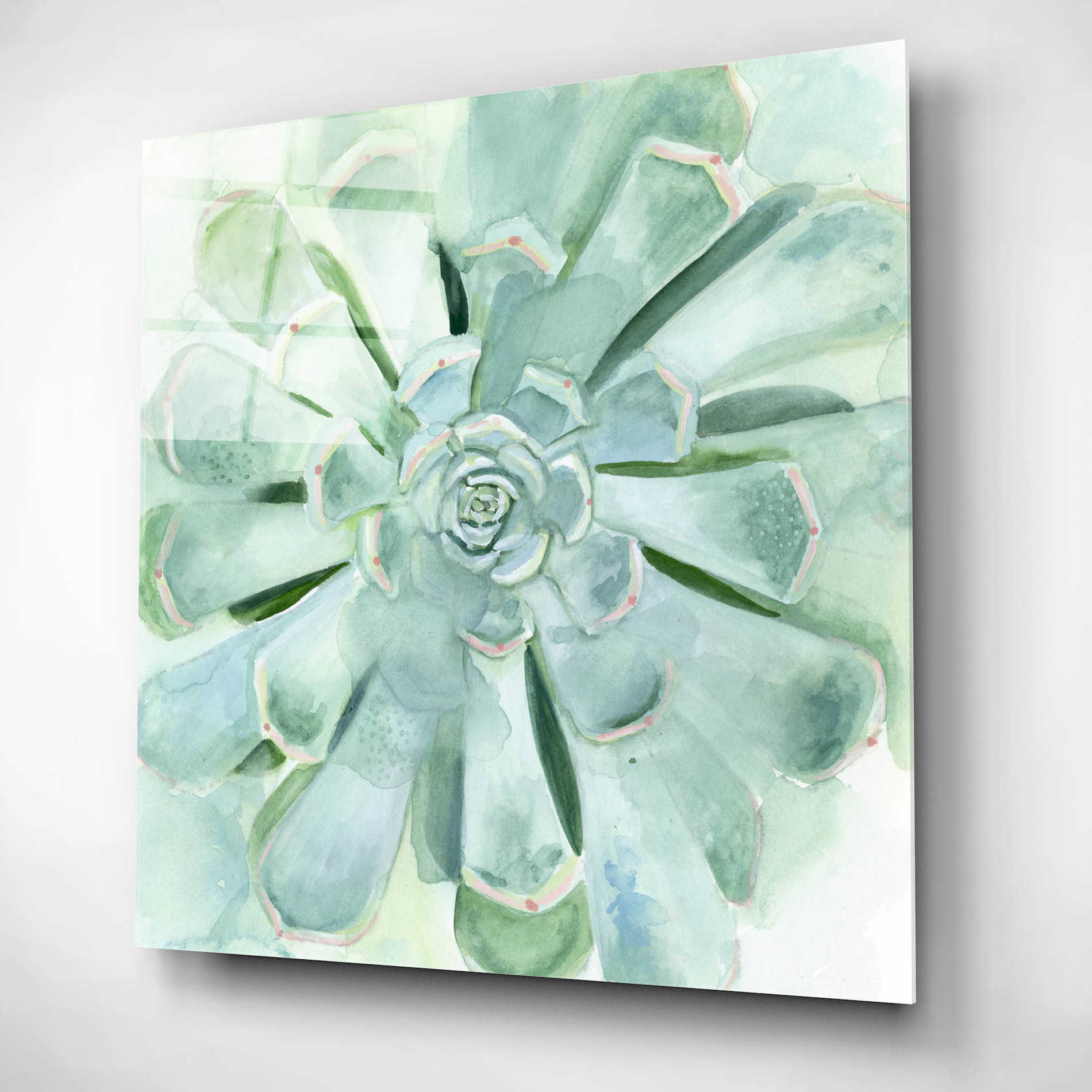 Epic Art 'Verdant Succulent IV' by Victoria Borges, Acrylic Glass Wall Art,12x12