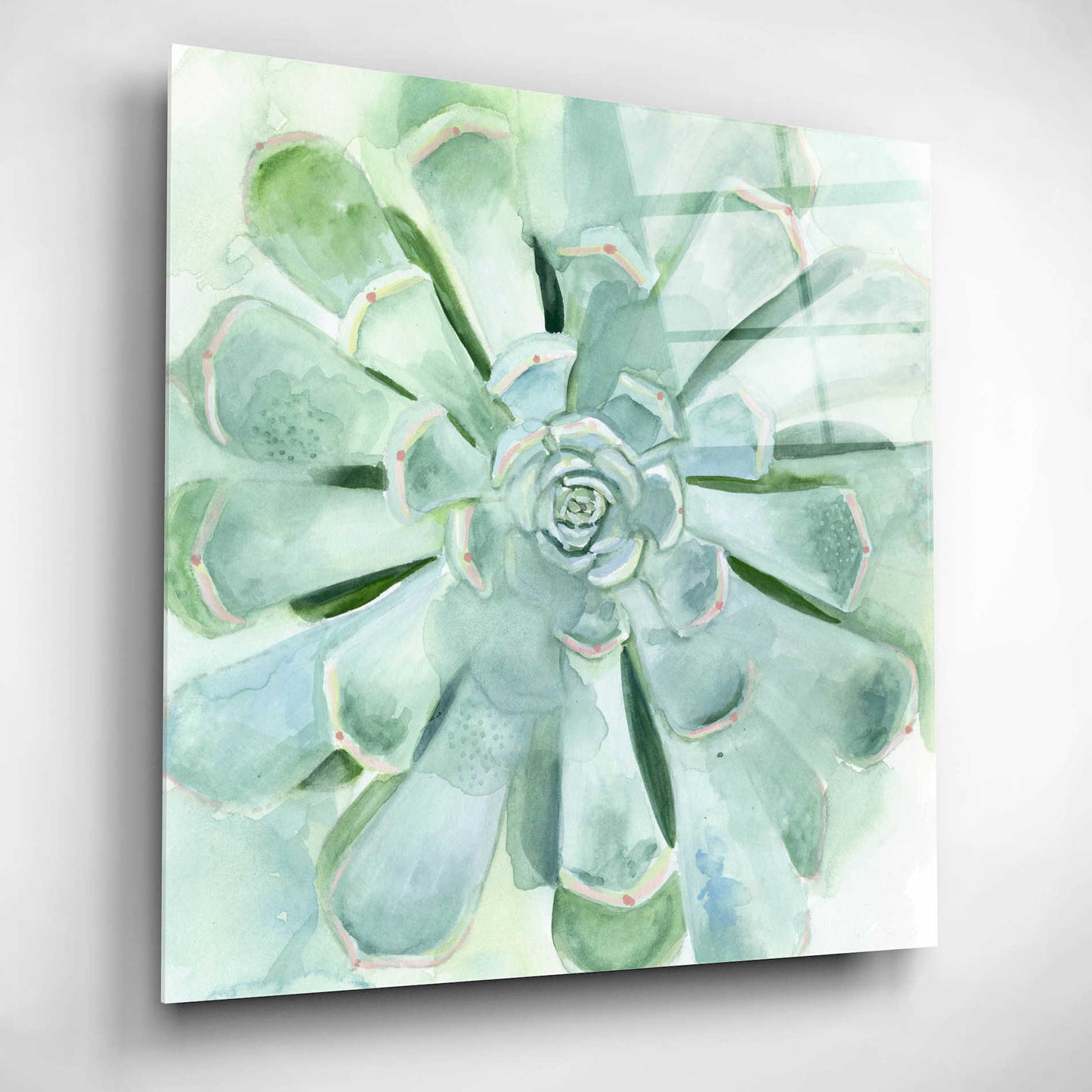 Epic Art 'Verdant Succulent IV' by Victoria Borges, Acrylic Glass Wall Art,12x12