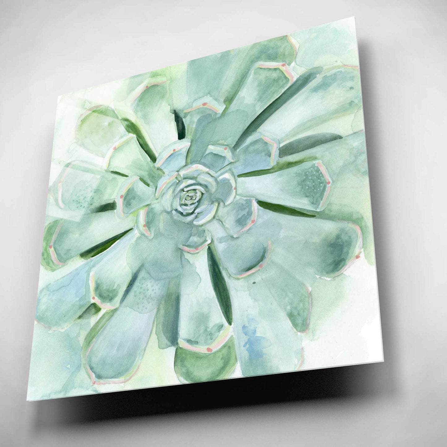 Epic Art 'Verdant Succulent IV' by Victoria Borges, Acrylic Glass Wall Art,12x12