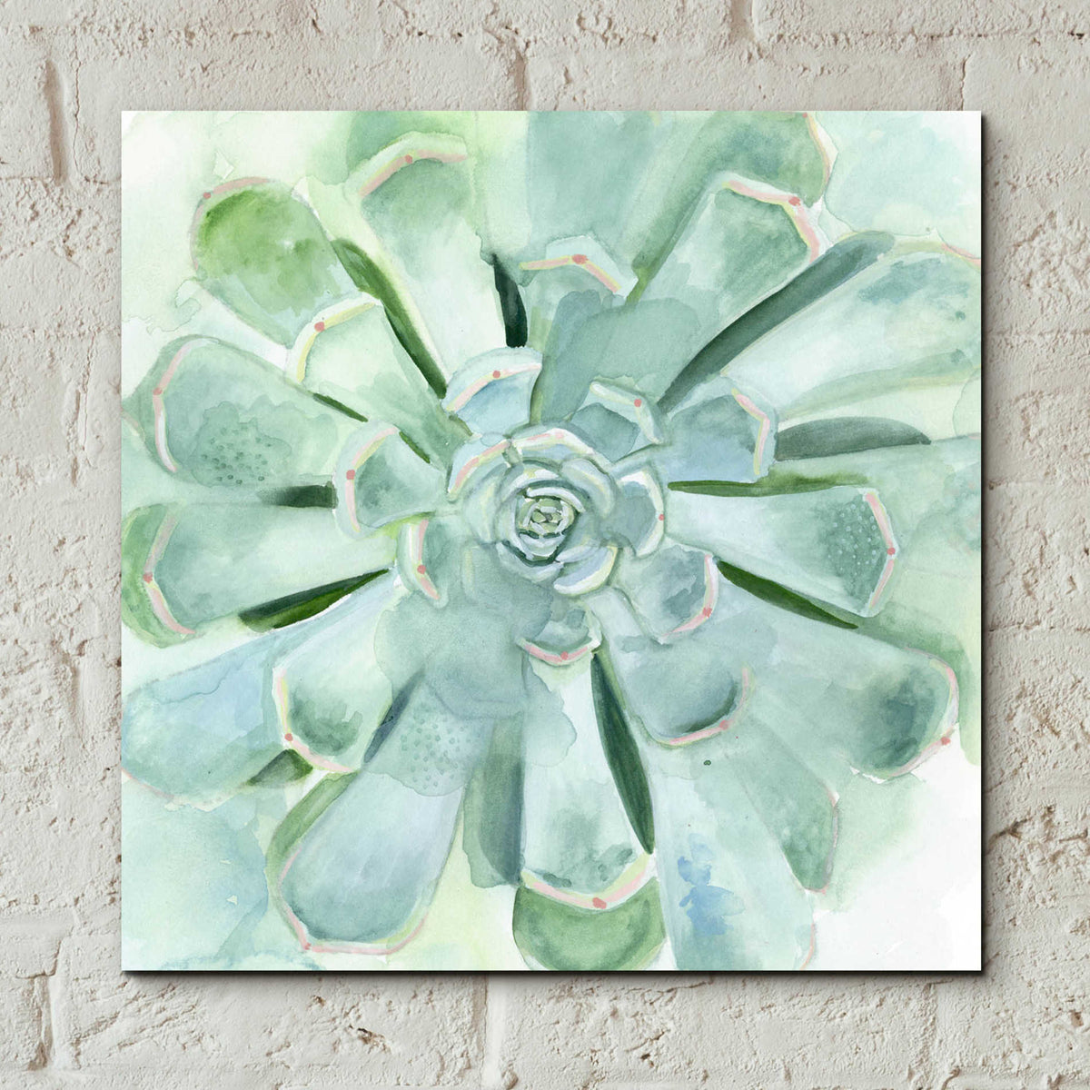 Epic Art 'Verdant Succulent IV' by Victoria Borges, Acrylic Glass Wall Art,12x12