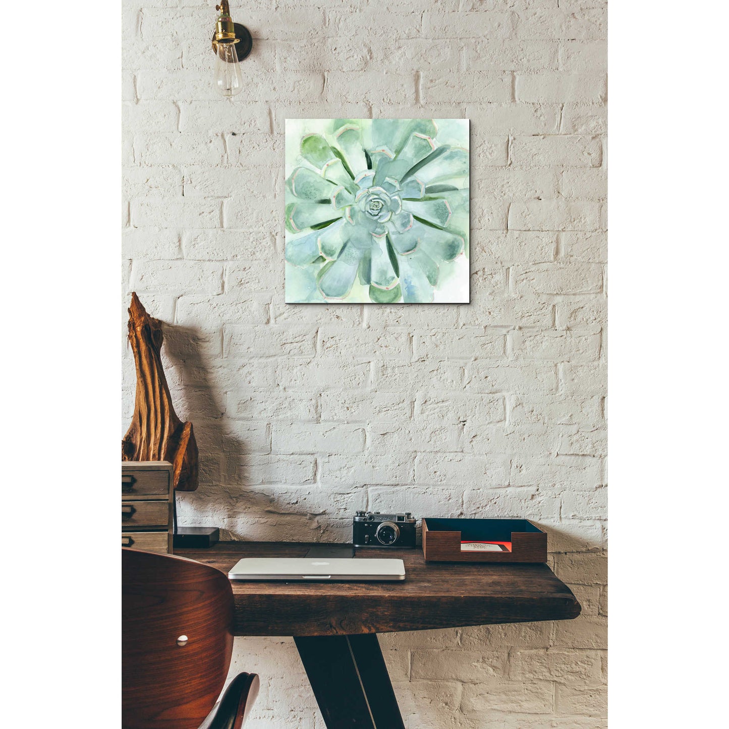 Epic Art 'Verdant Succulent IV' by Victoria Borges, Acrylic Glass Wall Art,12x12