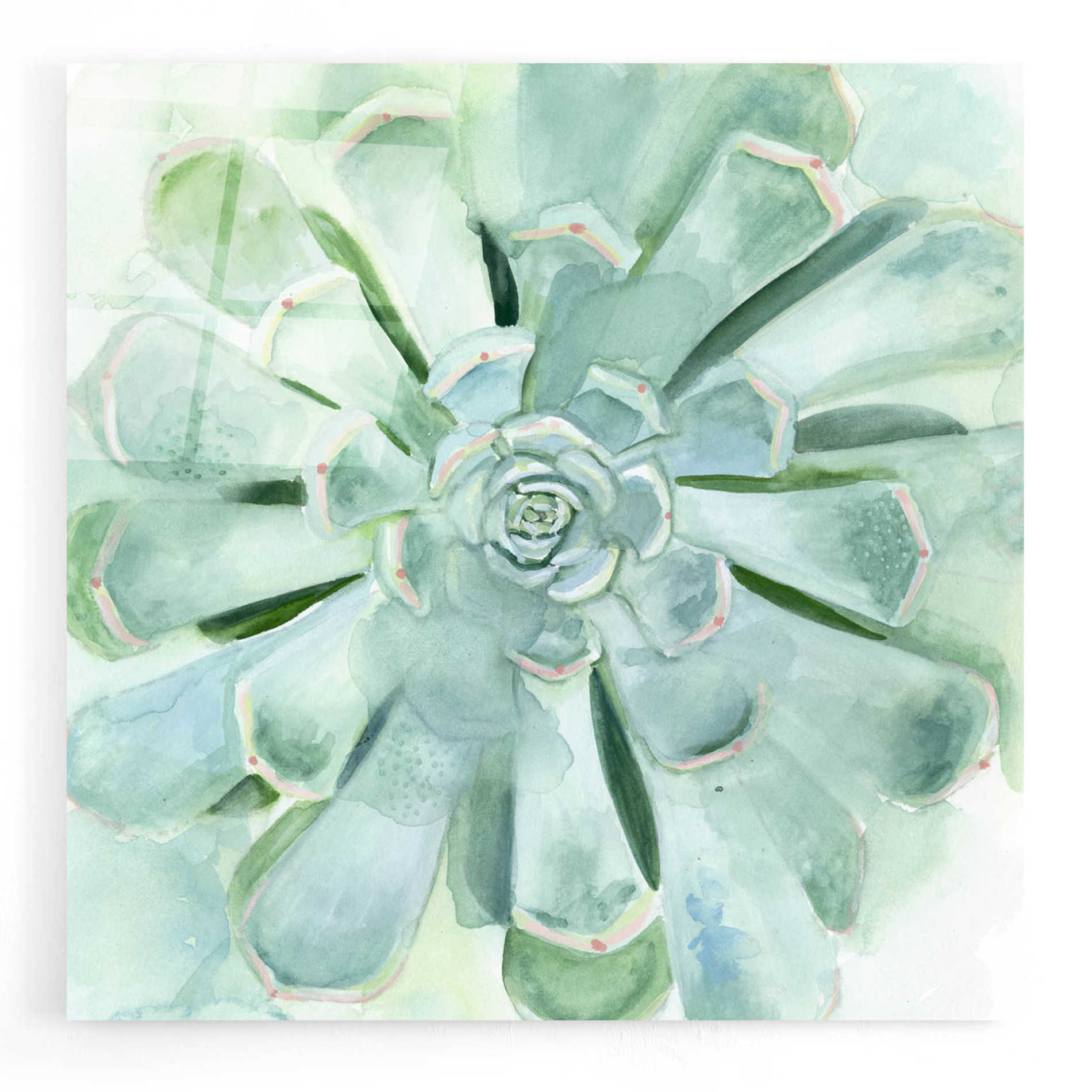 Epic Art 'Verdant Succulent IV' by Victoria Borges, Acrylic Glass Wall Art,12x12