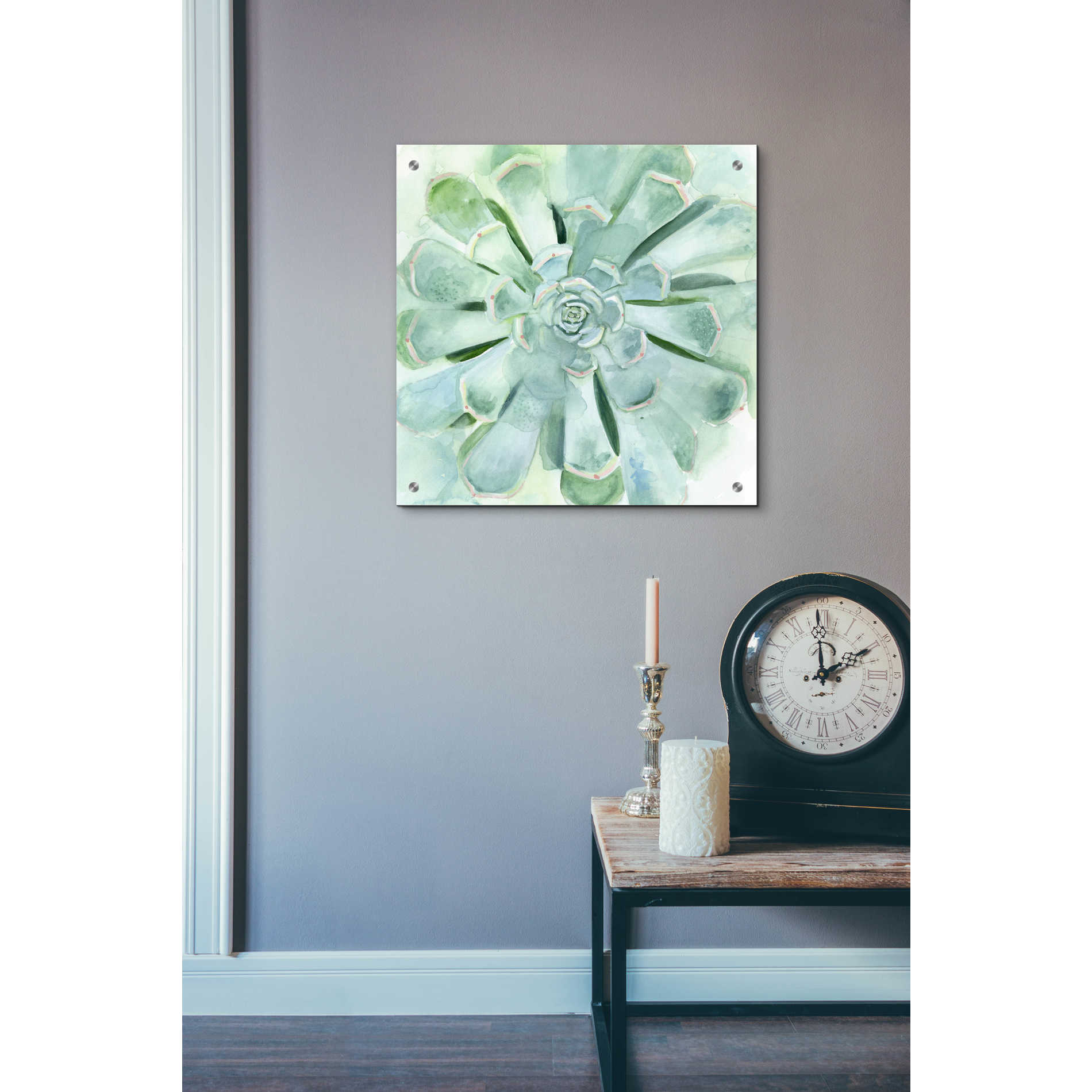 Epic Art 'Verdant Succulent IV' by Victoria Borges, Acrylic Glass Wall Art,24x24