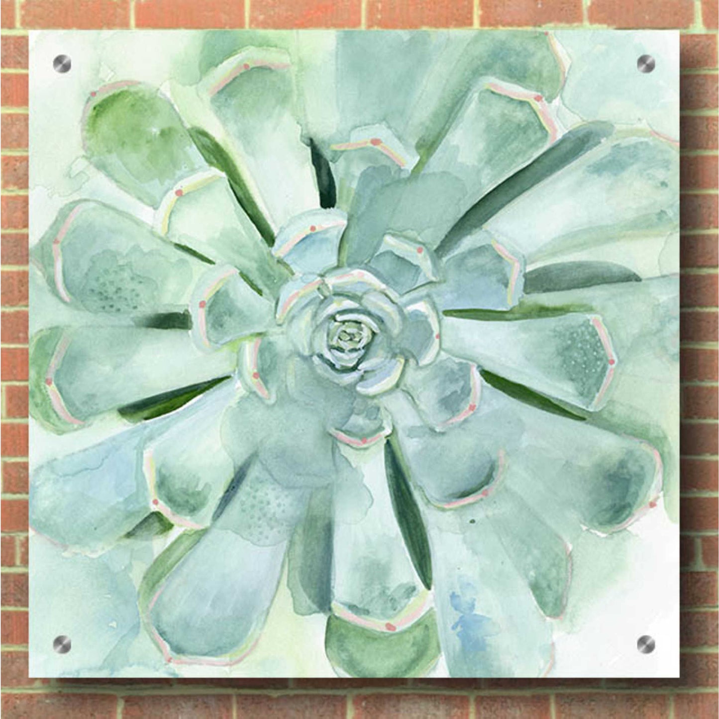 Epic Art 'Verdant Succulent IV' by Victoria Borges, Acrylic Glass Wall Art,36x36